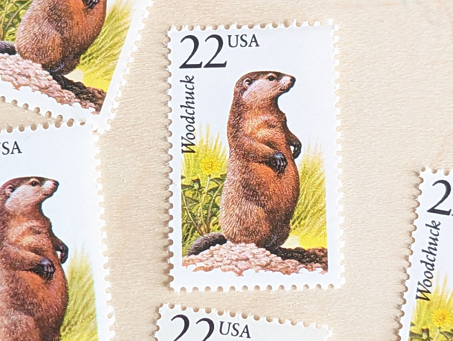 Woodchuck, Set of 5, Vintage Unused USPS 22 Cent Postage Stamps, North American Wildlife Series 1987, Gummed