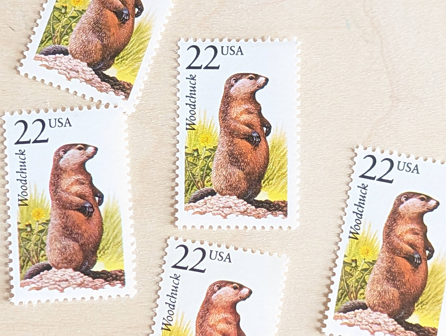 Woodchuck, Set of 5, Vintage Unused USPS 22 Cent Postage Stamps, North American Wildlife Series 1987, Gummed