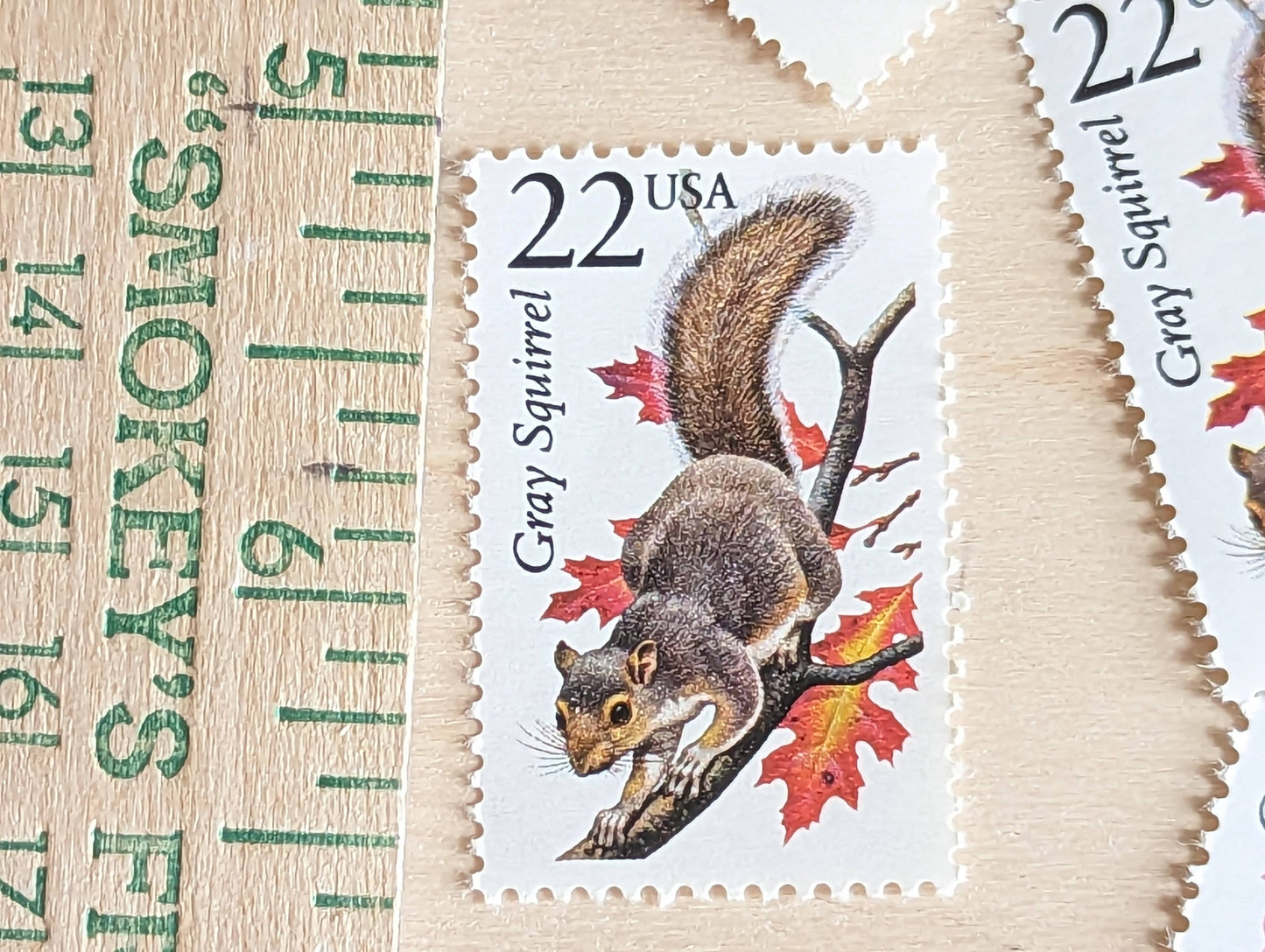 Gray Squirrel, Set of 5, Vintage Unused USPS 22 Cent Postage Stamps, North American Wildlife Series 1987, Gummed