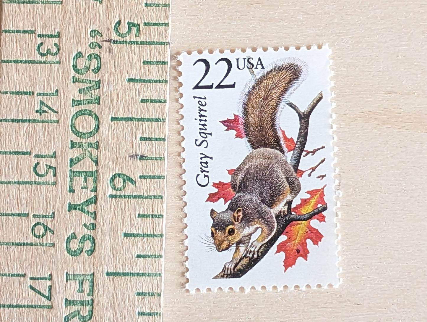 Gray Squirrel, Set of 5, Vintage Unused USPS 22 Cent Postage Stamps, North American Wildlife Series 1987, Gummed