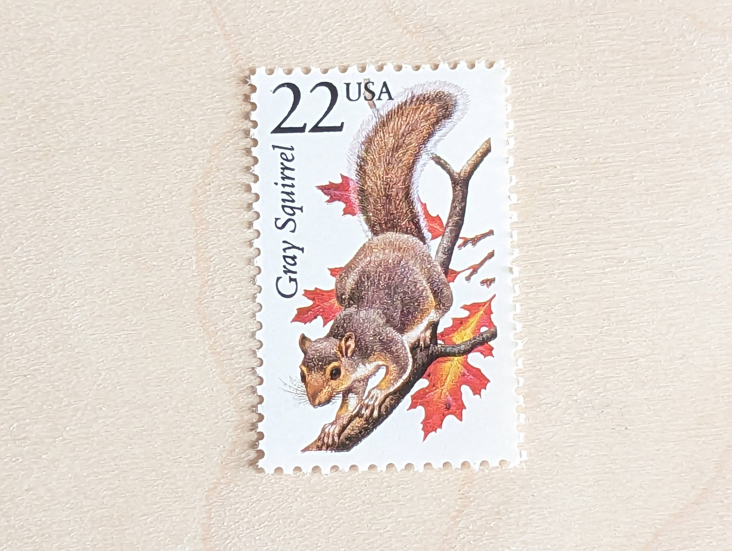 Gray Squirrel, Set of 5, Vintage Unused USPS 22 Cent Postage Stamps, North American Wildlife Series 1987, Gummed