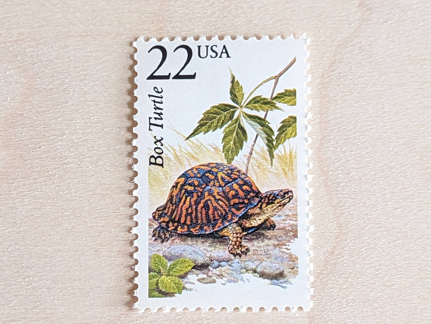 Box Turtle, Set of 5, Vintage Unused USPS 22 Cent Postage Stamps, North American Wildlife Series 1987, Gummed
