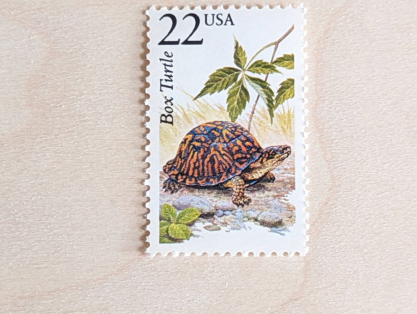 Box Turtle, Set of 5, Vintage Unused USPS 22 Cent Postage Stamps, North American Wildlife Series 1987, Gummed