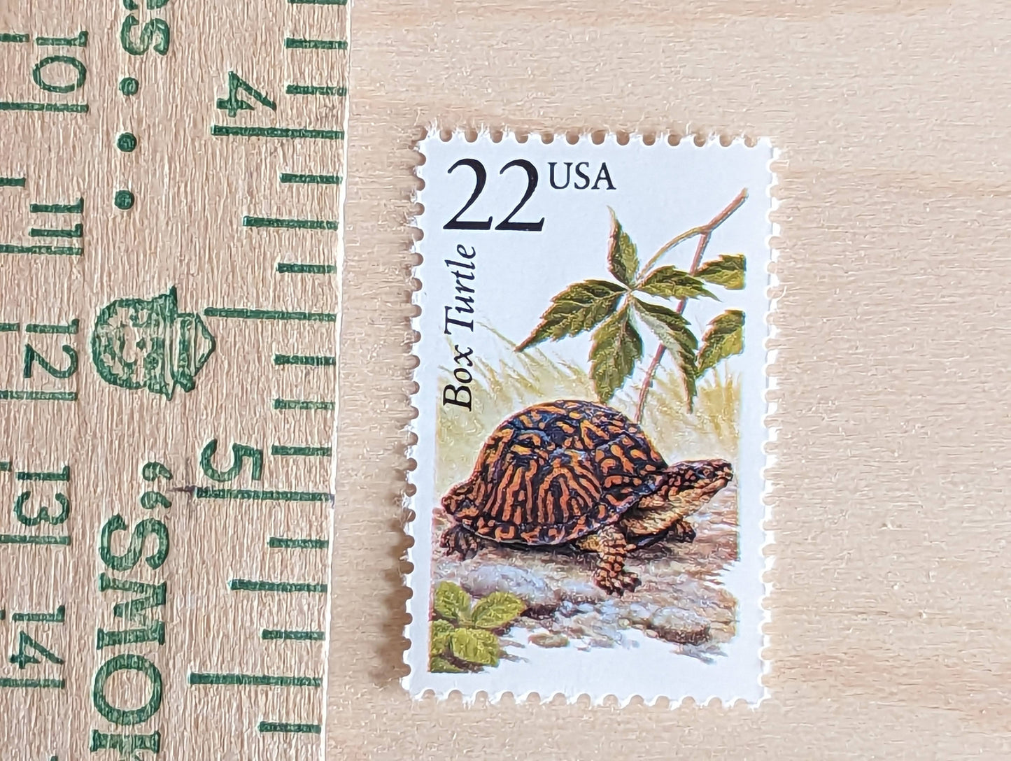 Box Turtle, Set of 5, Vintage Unused USPS 22 Cent Postage Stamps, North American Wildlife Series 1987, Gummed