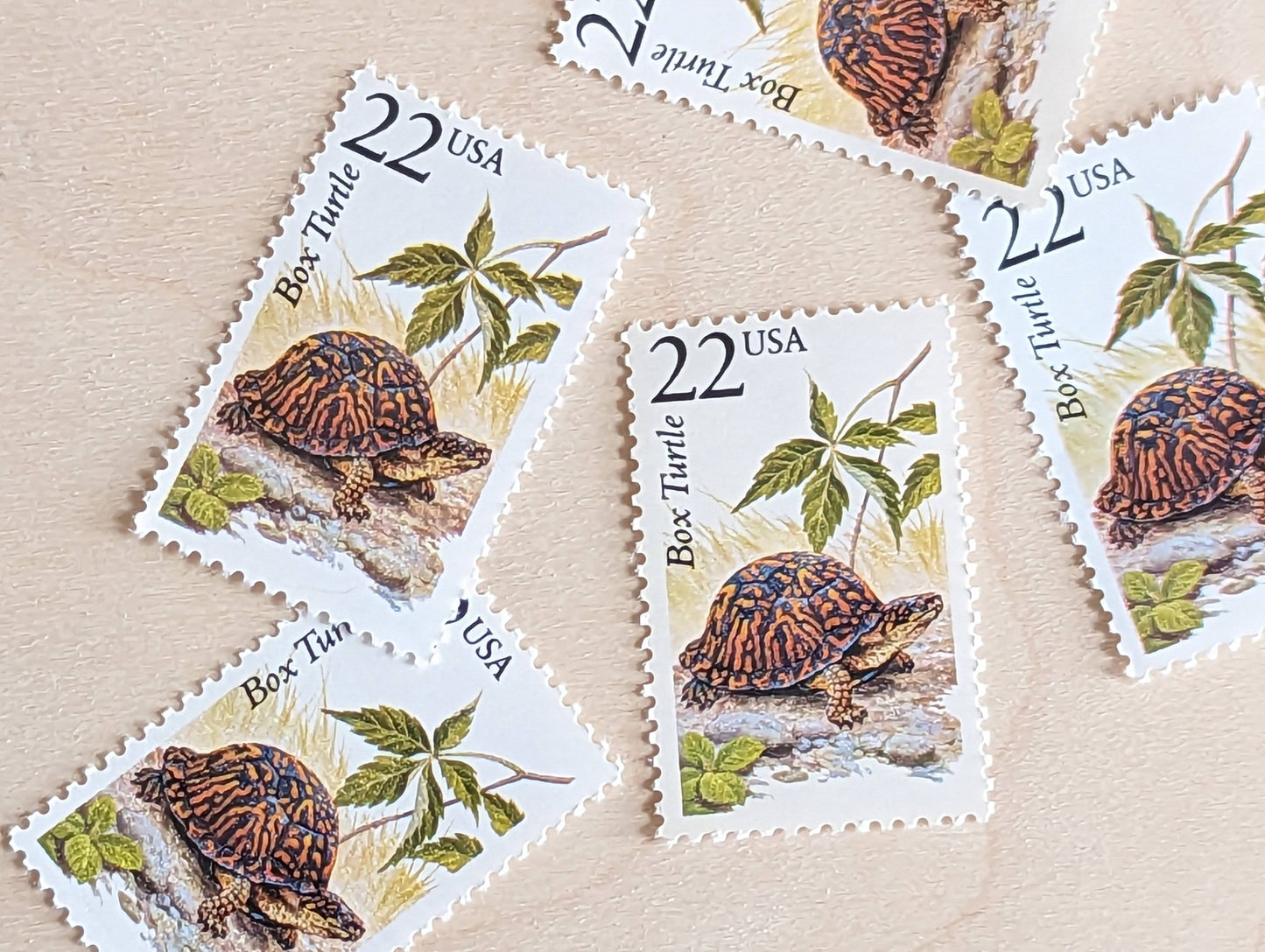 Box Turtle, Set of 5, Vintage Unused USPS 22 Cent Postage Stamps, North American Wildlife Series 1987, Gummed