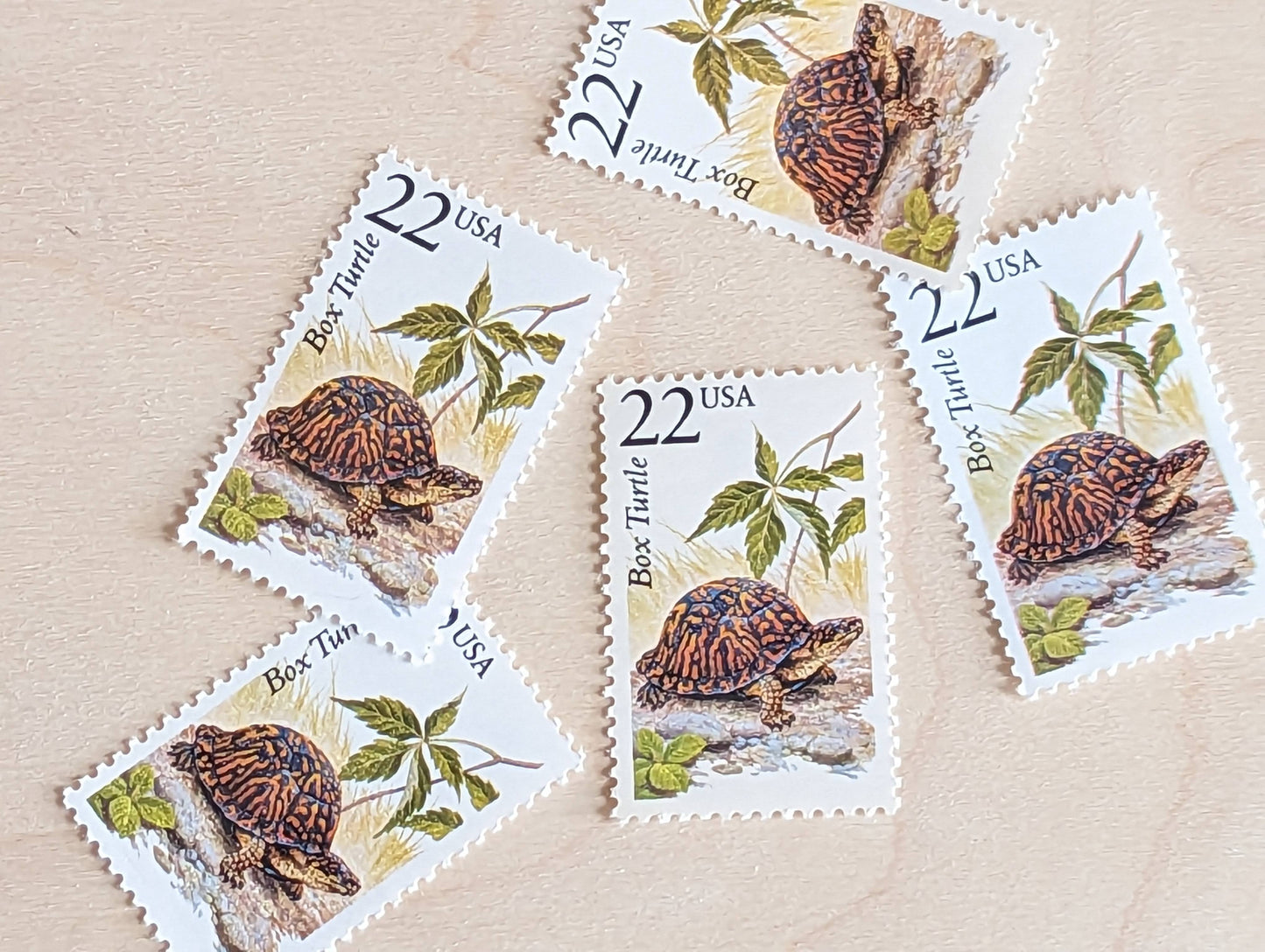 Box Turtle, Set of 5, Vintage Unused USPS 22 Cent Postage Stamps, North American Wildlife Series 1987, Gummed
