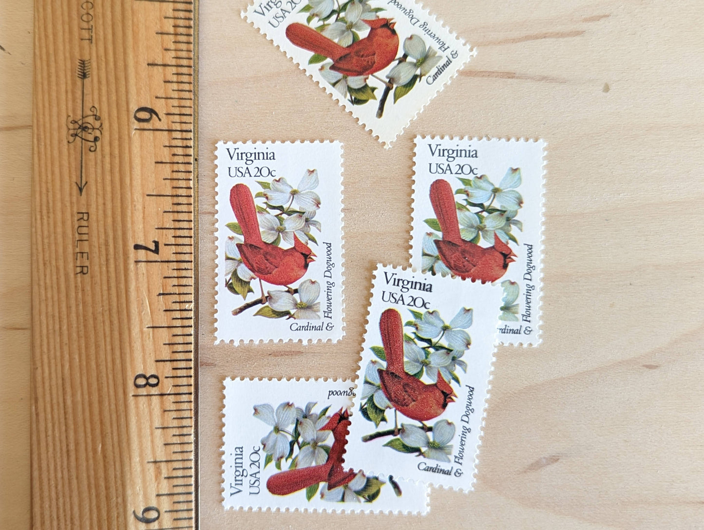 Virginia State Stamp, Set of 5, Vintage Unused USPS 20 Cent Postage Stamps, State Bird and Flower 1982, Gummed