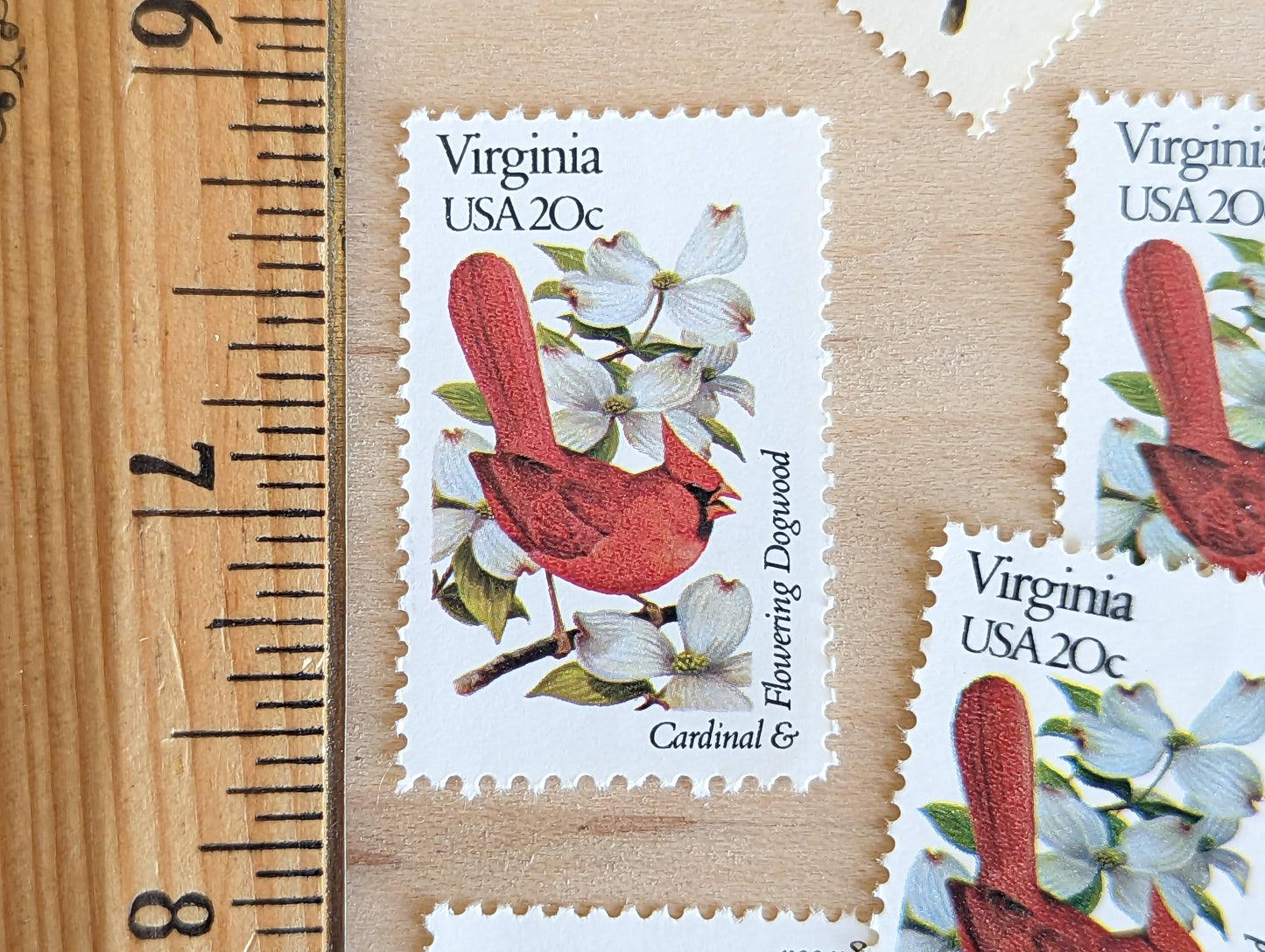 Virginia State Stamp, Set of 5, Vintage Unused USPS 20 Cent Postage Stamps, State Bird and Flower 1982, Gummed