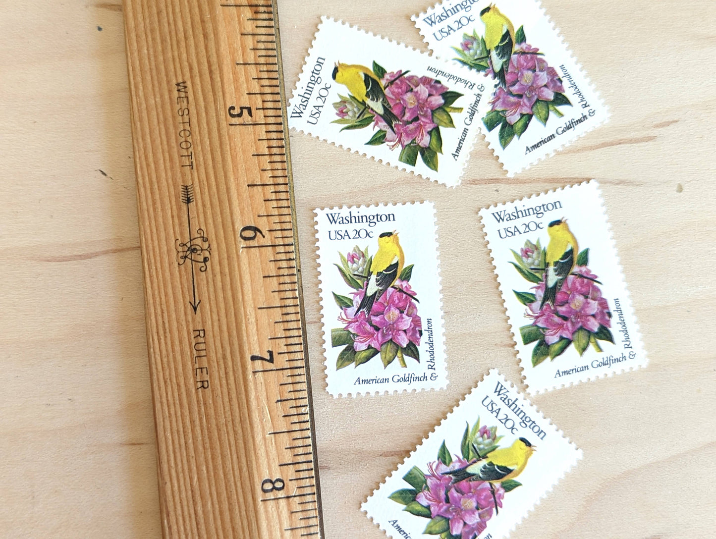 Washington State Stamp, Set of 5, Vintage Unused USPS 20 Cent Postage Stamps, State Bird and Flower 1982, Gummed