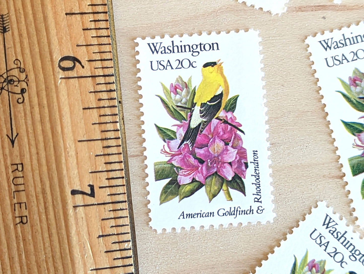 Washington State Stamp, Set of 5, Vintage Unused USPS 20 Cent Postage Stamps, State Bird and Flower 1982, Gummed