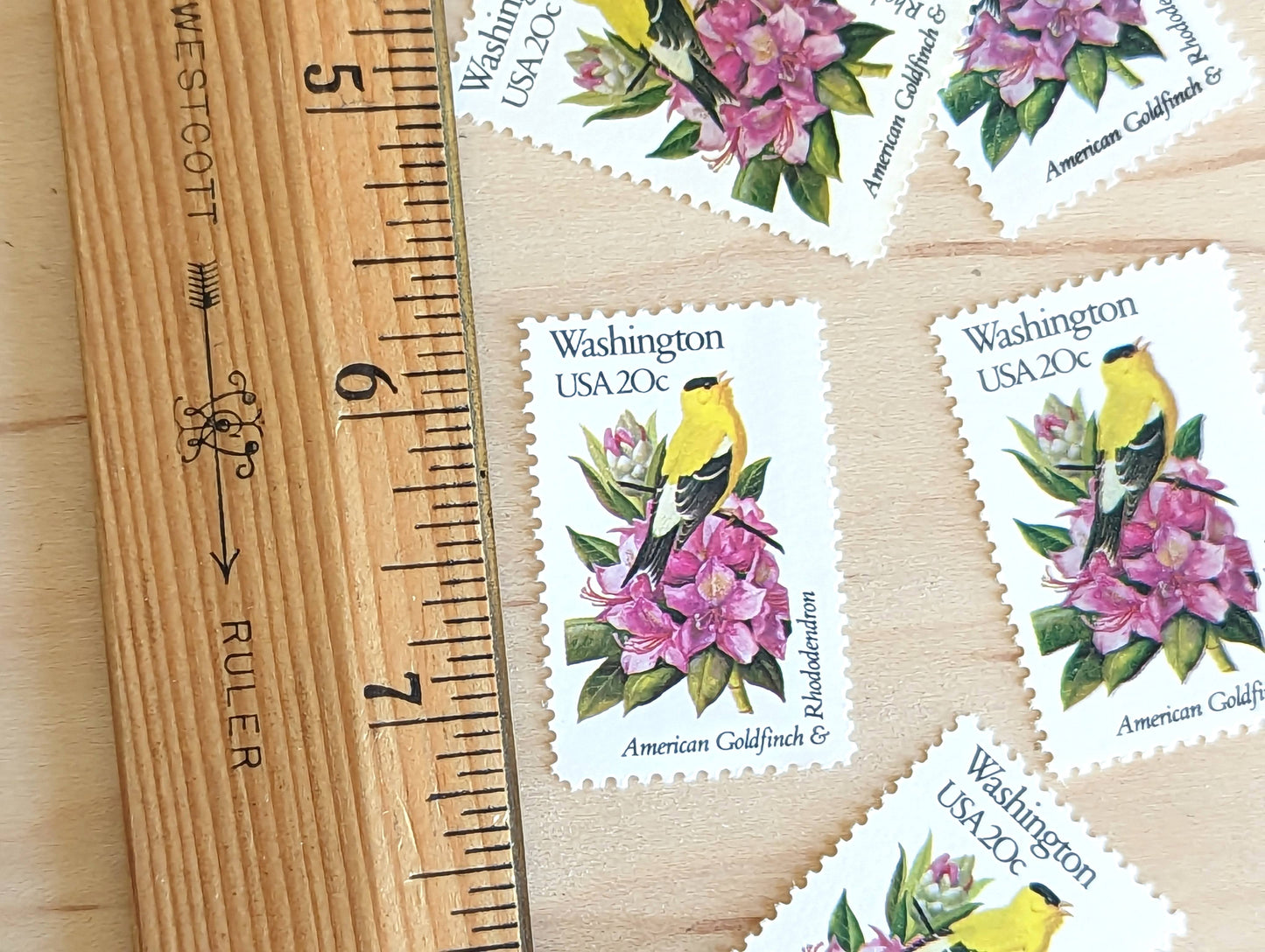 Washington State Stamp, Set of 5, Vintage Unused USPS 20 Cent Postage Stamps, State Bird and Flower 1982, Gummed