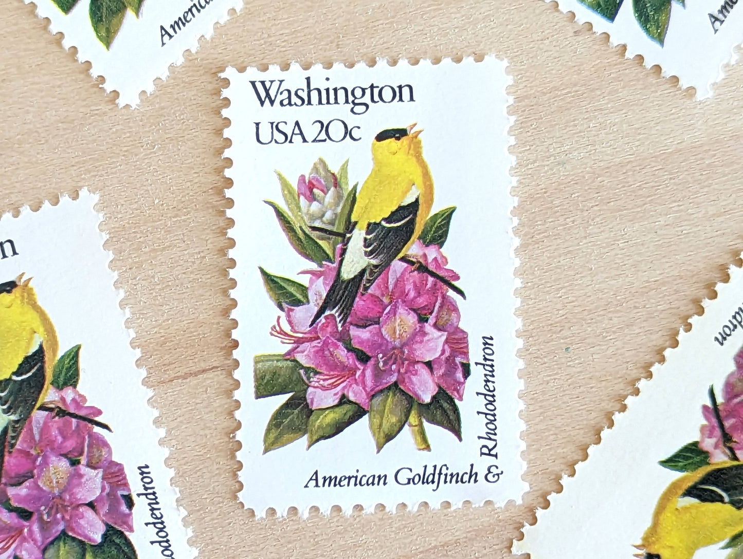 Washington State Stamp, Set of 5, Vintage Unused USPS 20 Cent Postage Stamps, State Bird and Flower 1982, Gummed