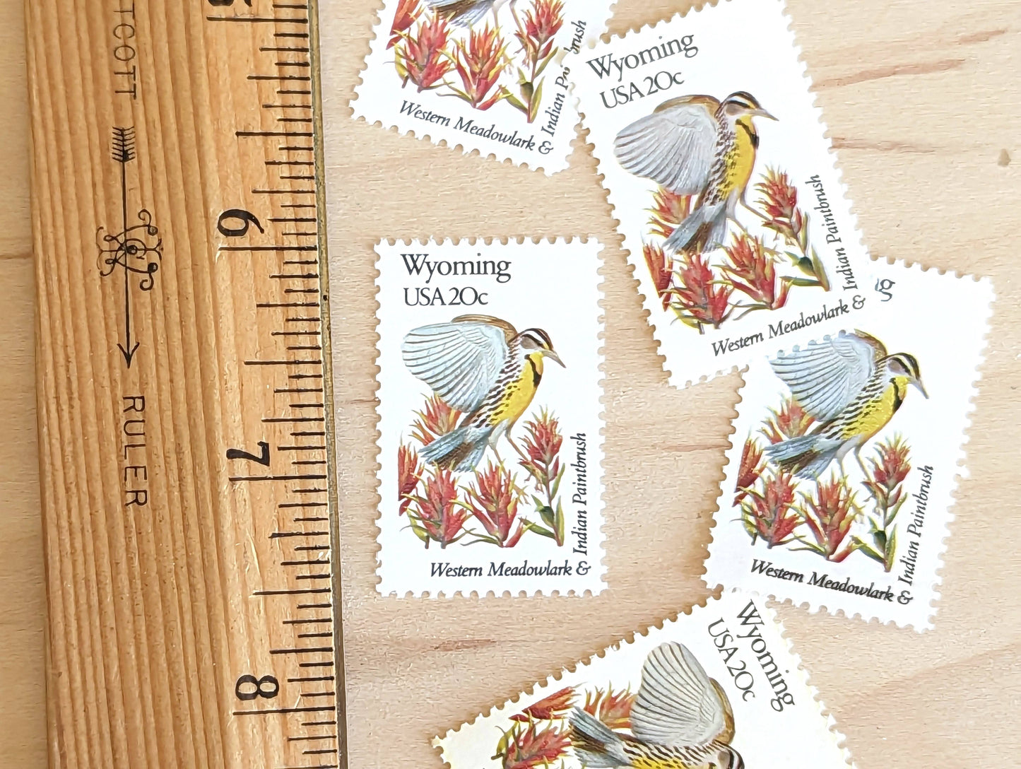Wyoming State Stamp, Set of 5, Vintage Unused USPS 20 Cent Postage Stamps, State Bird and Flower 1982, Gummed