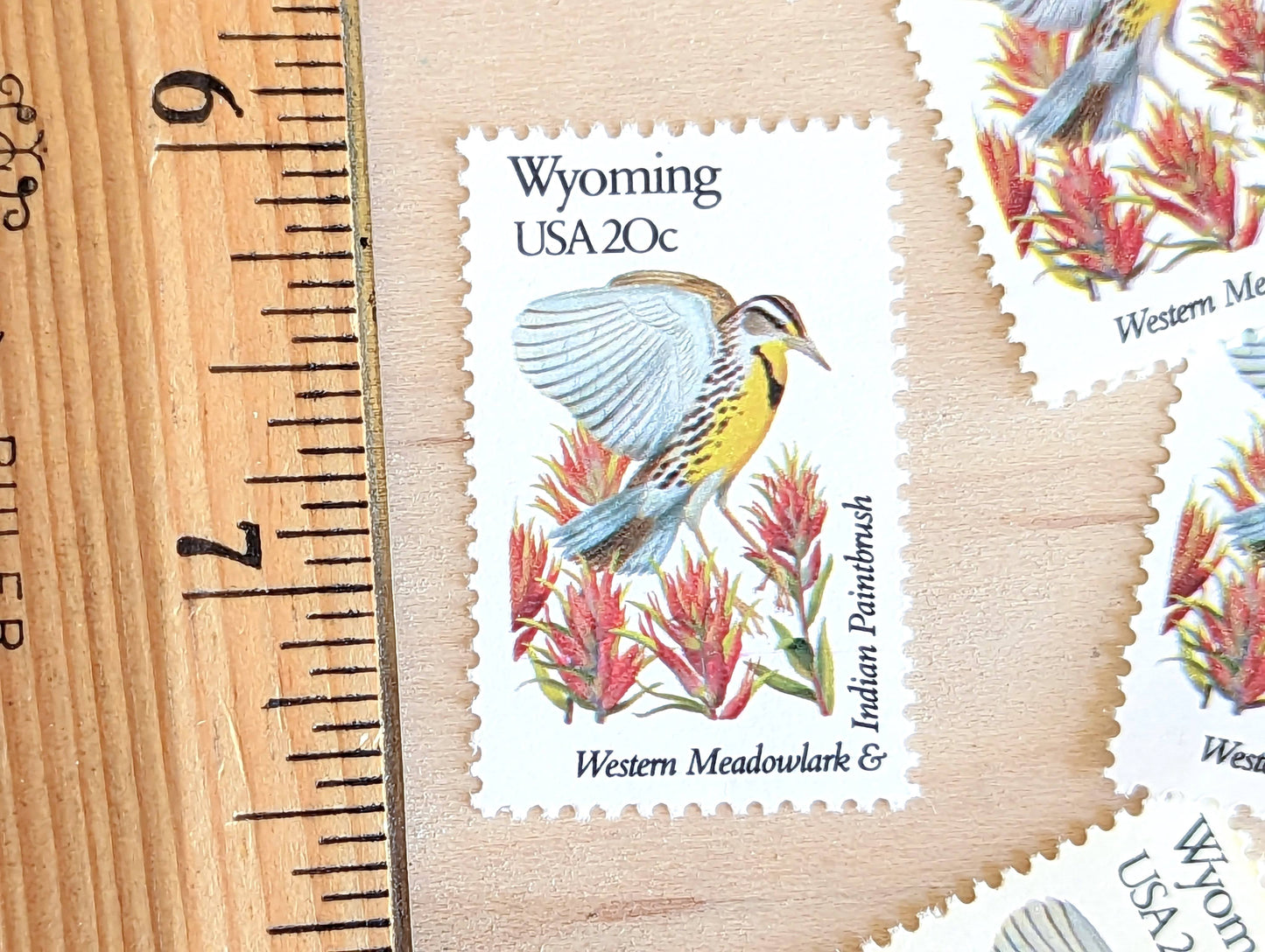 Wyoming State Stamp, Set of 5, Vintage Unused USPS 20 Cent Postage Stamps, State Bird and Flower 1982, Gummed