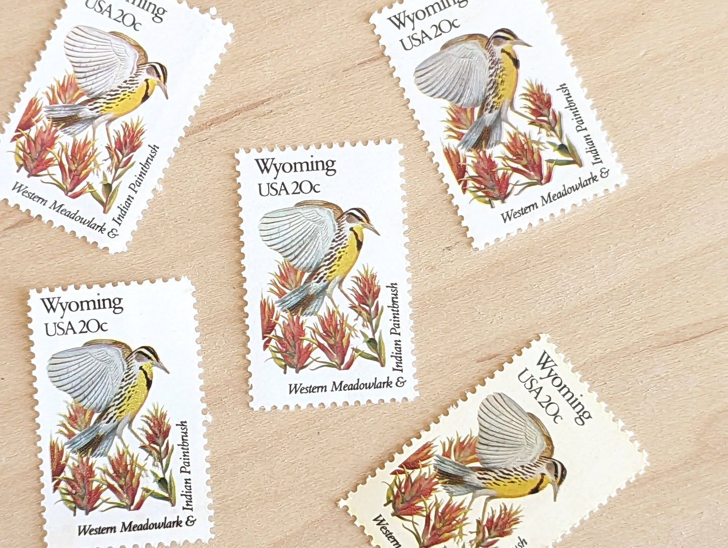 Wyoming State Stamp, Set of 5, Vintage Unused USPS 20 Cent Postage Stamps, State Bird and Flower 1982, Gummed