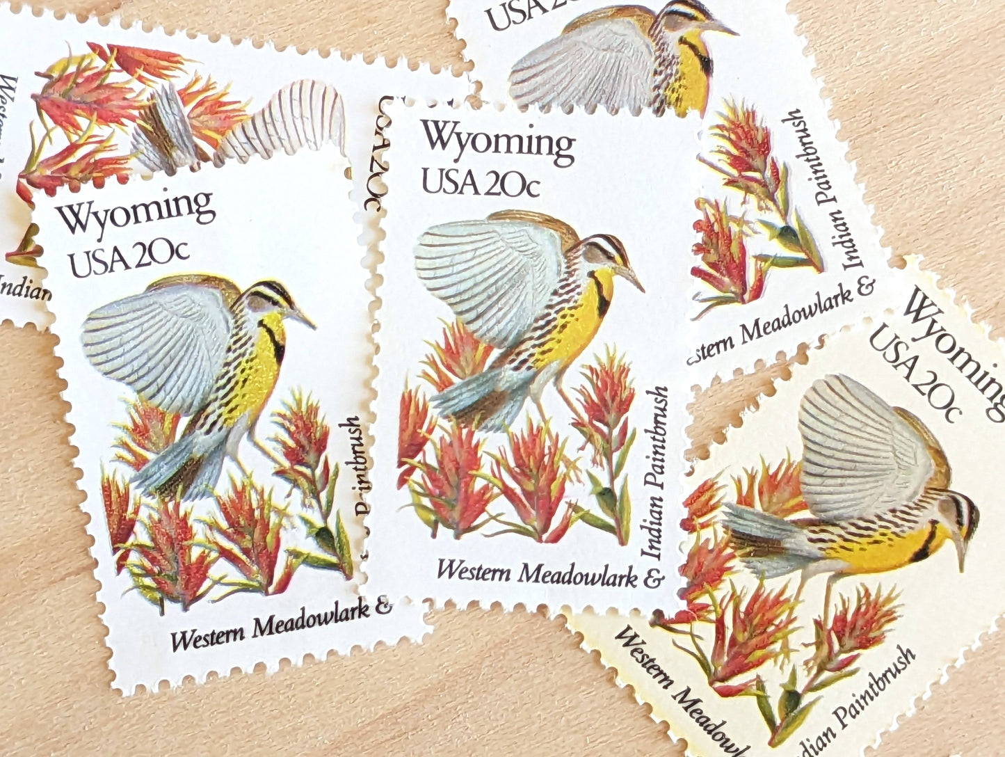 Wyoming State Stamp, Set of 5, Vintage Unused USPS 20 Cent Postage Stamps, State Bird and Flower 1982, Gummed