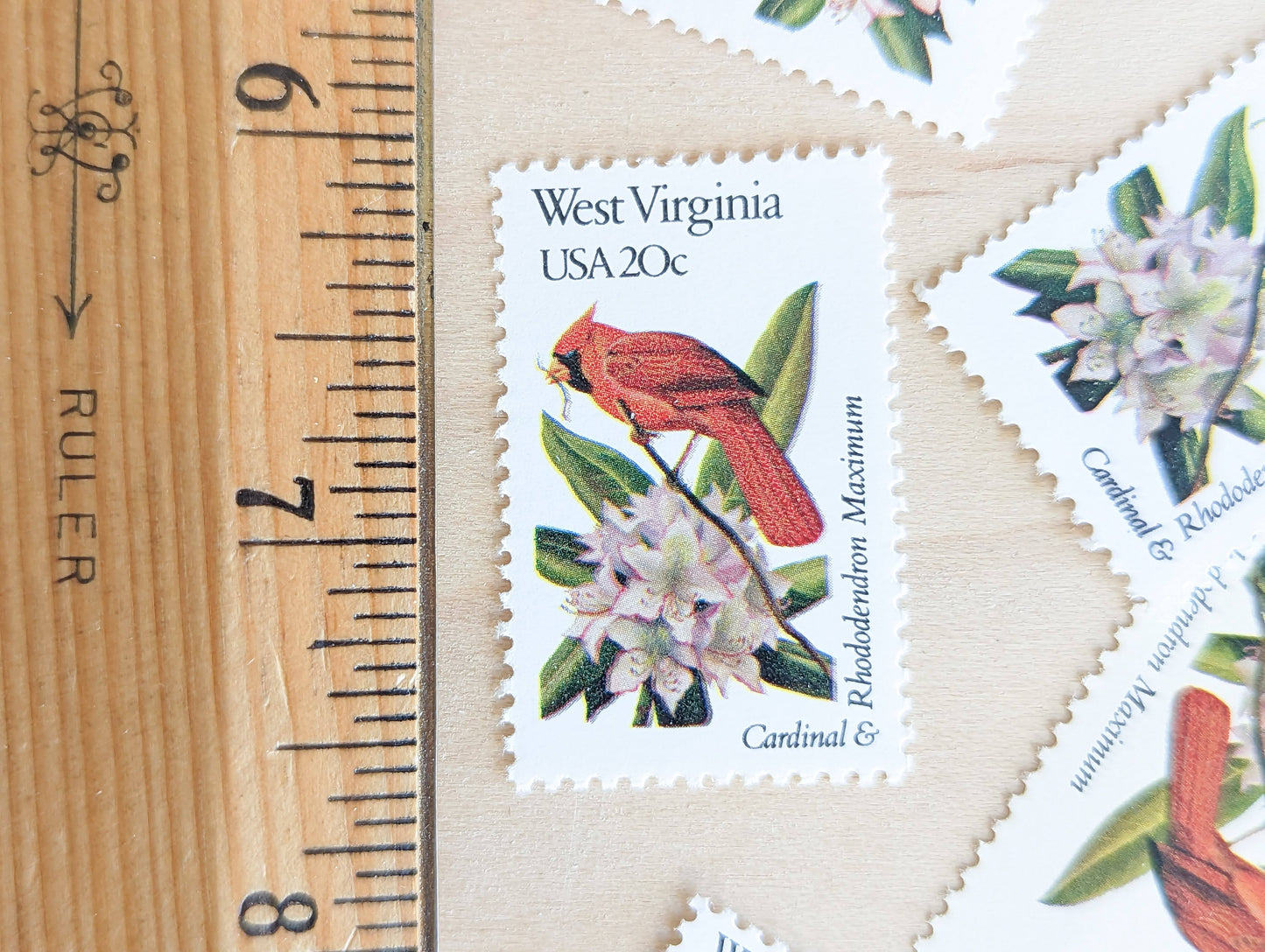 West Virginia State Stamp, Set of 5, Vintage Unused USPS 20 Cent Postage Stamps, State Bird and Flower, 1982, Gummed