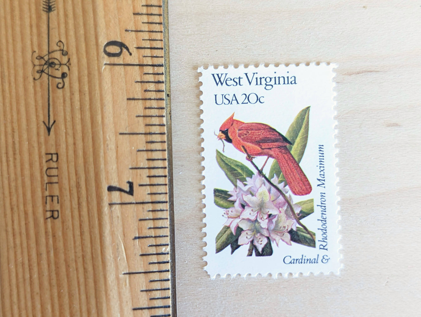 West Virginia State Stamp, Set of 5, Vintage Unused USPS 20 Cent Postage Stamps, State Bird and Flower, 1982, Gummed