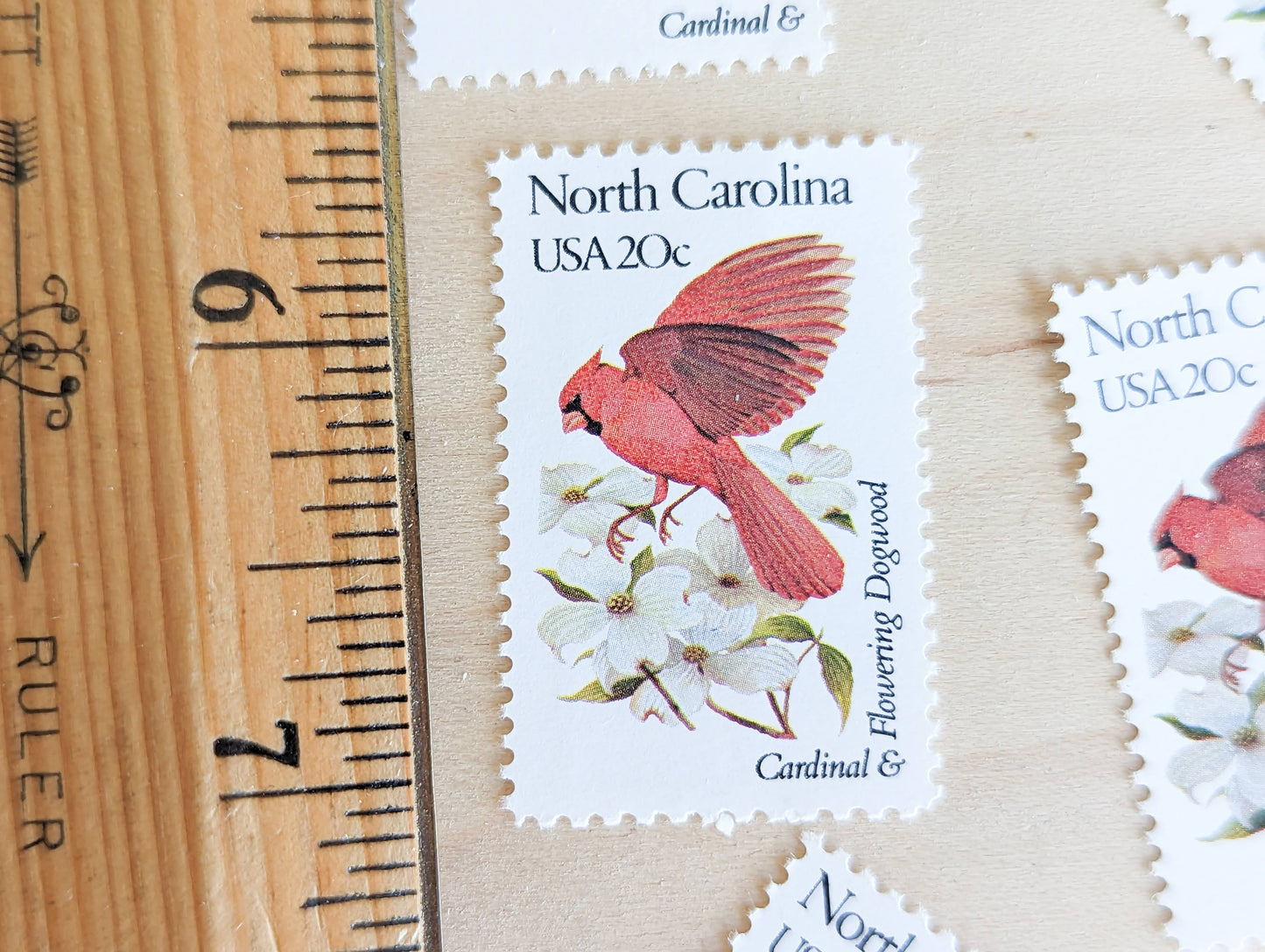 North Carolina State Stamp, Set of 5, Vintage Unused USPS 20 Cent Postage Stamps, State Bird and Flower, 1982, Gummed