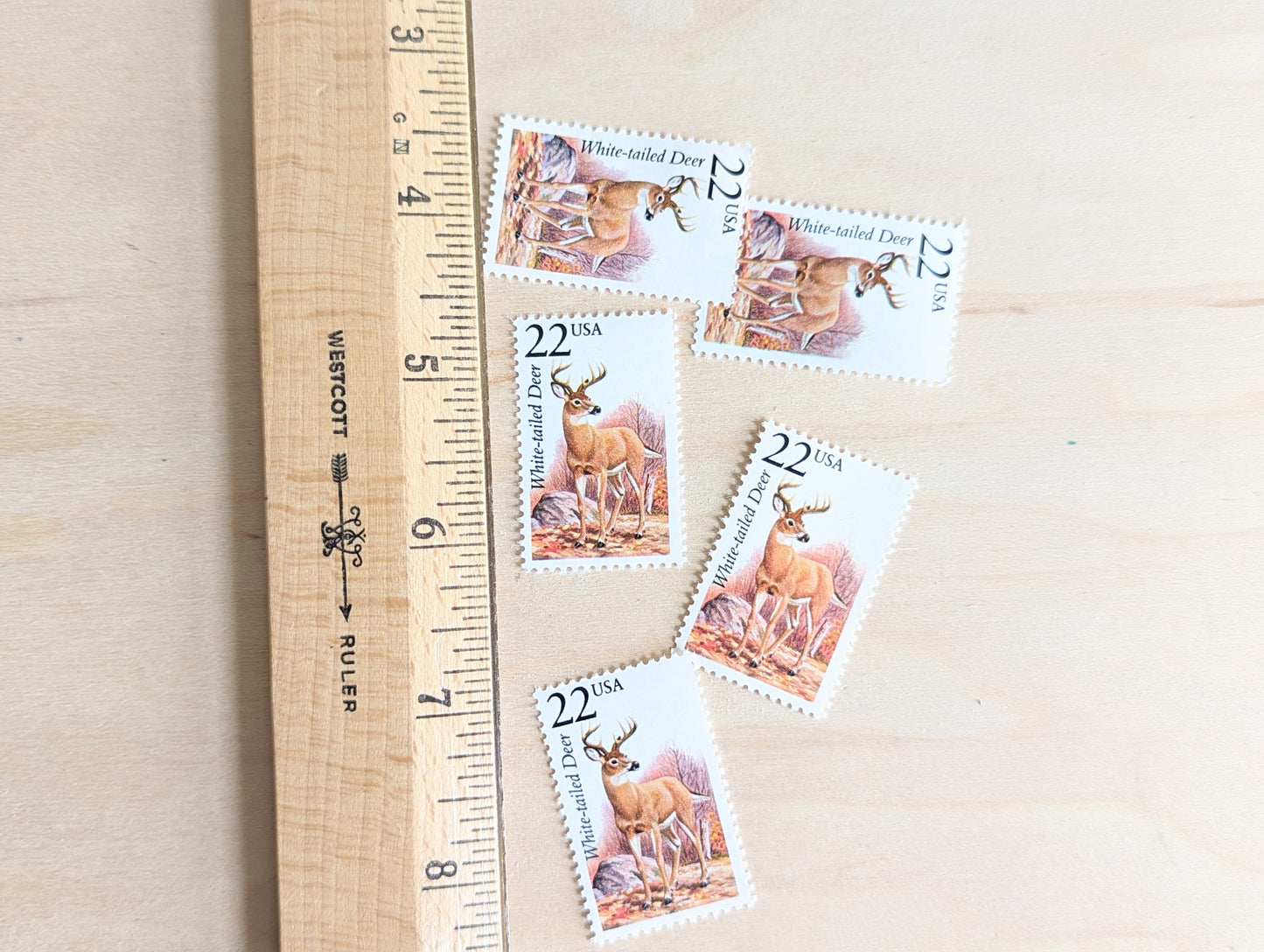 White-Tailed Deer, Set of 5, Vintage Unused USPS 22 Cent Postage Stamps, North American Wildlife Series 1987, Gummed