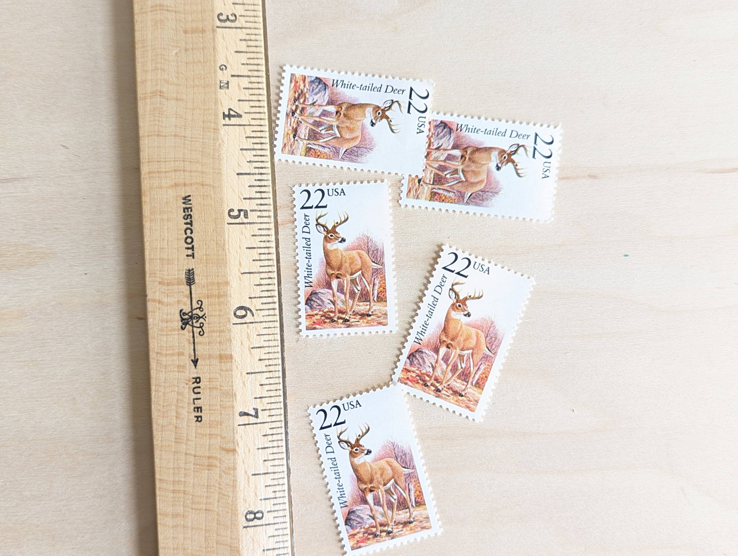 White-Tailed Deer, Set of 5, Vintage Unused USPS 22 Cent Postage Stamps, North American Wildlife Series 1987, Gummed