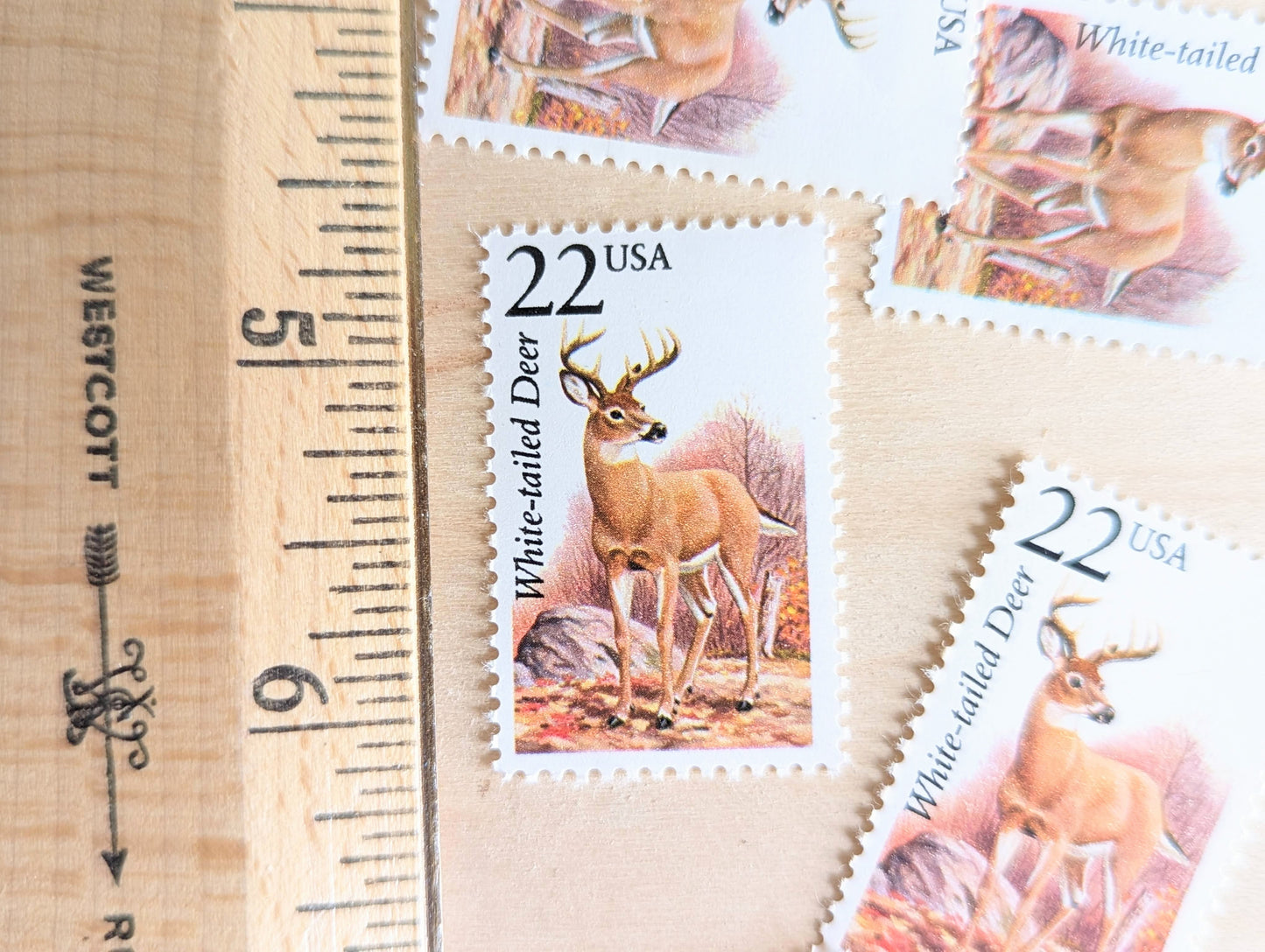 White-Tailed Deer, Set of 5, Vintage Unused USPS 22 Cent Postage Stamps, North American Wildlife Series 1987, Gummed