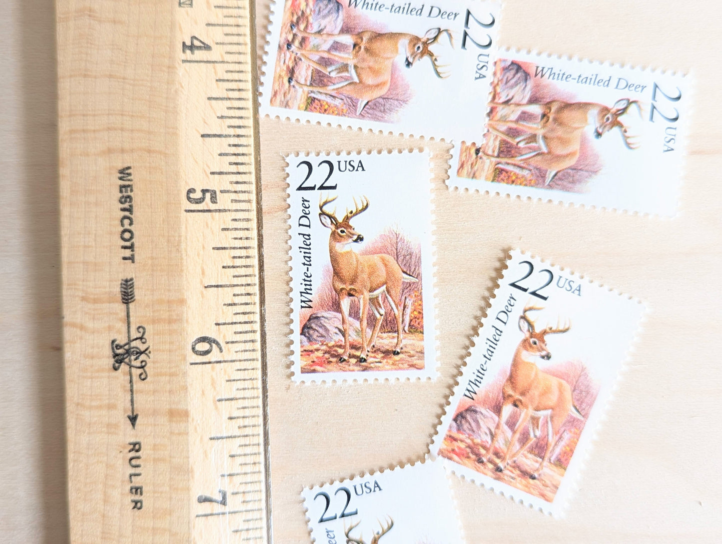 White-Tailed Deer, Set of 5, Vintage Unused USPS 22 Cent Postage Stamps, North American Wildlife Series 1987, Gummed