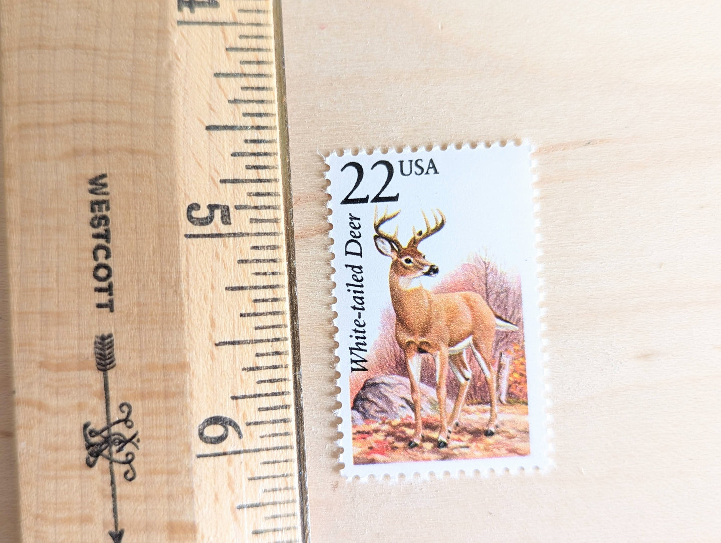 White-Tailed Deer, Set of 5, Vintage Unused USPS 22 Cent Postage Stamps, North American Wildlife Series 1987, Gummed