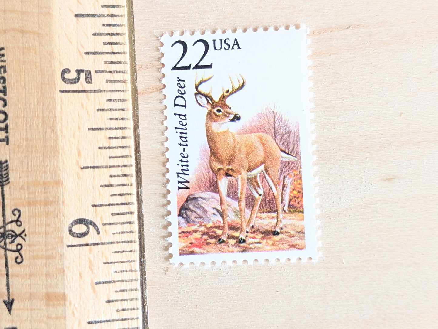 White-Tailed Deer, Set of 5, Vintage Unused USPS 22 Cent Postage Stamps, North American Wildlife Series 1987, Gummed