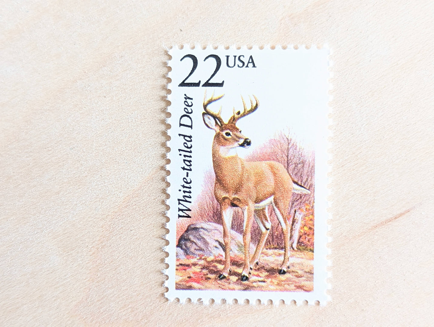 White-Tailed Deer, Set of 5, Vintage Unused USPS 22 Cent Postage Stamps, North American Wildlife Series 1987, Gummed