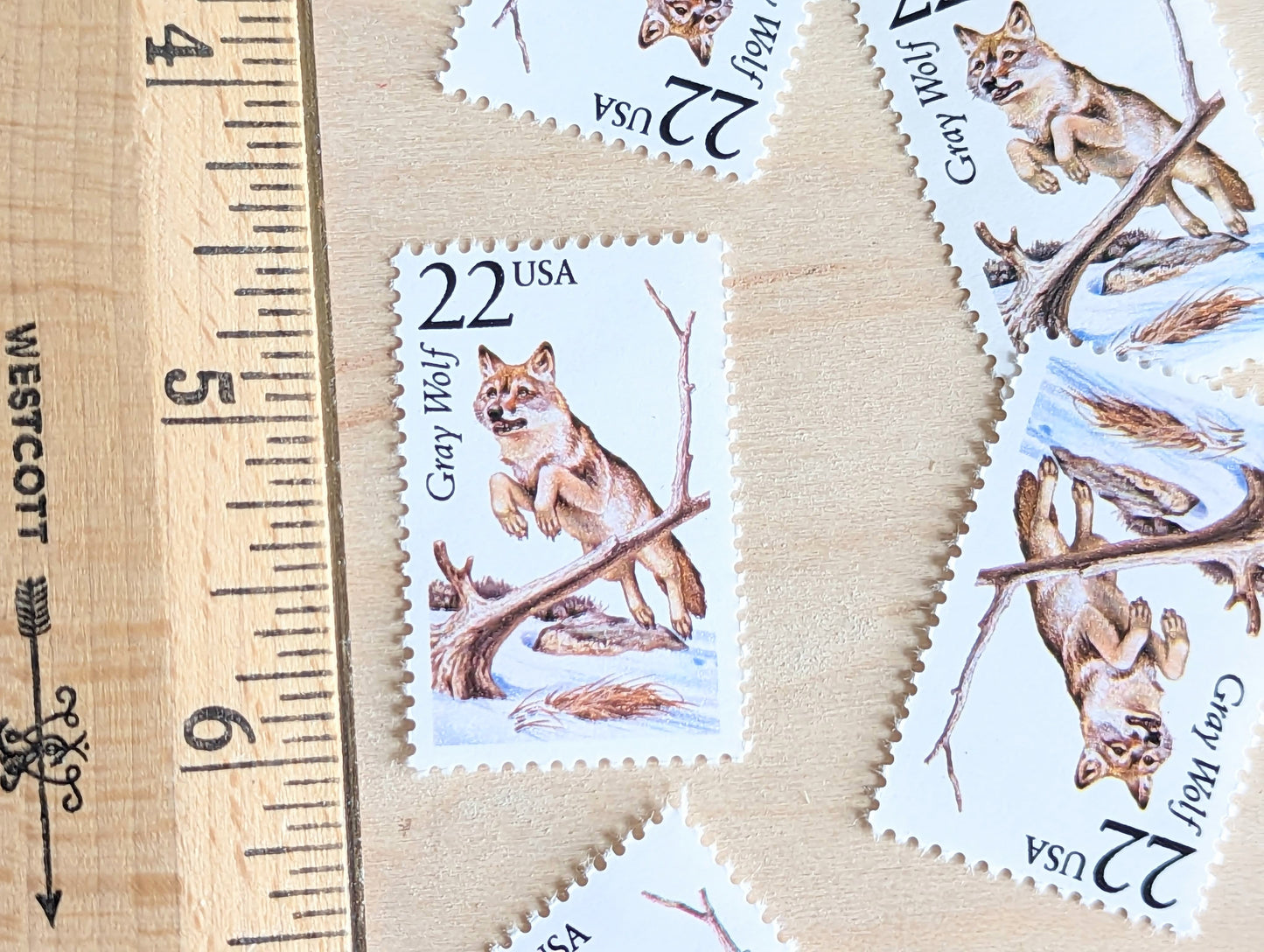 Gray Wolf, Set of 5, Vintage Unused USPS 22 Cent Postage Stamps, North American Wildlife Series 1987, Gummed