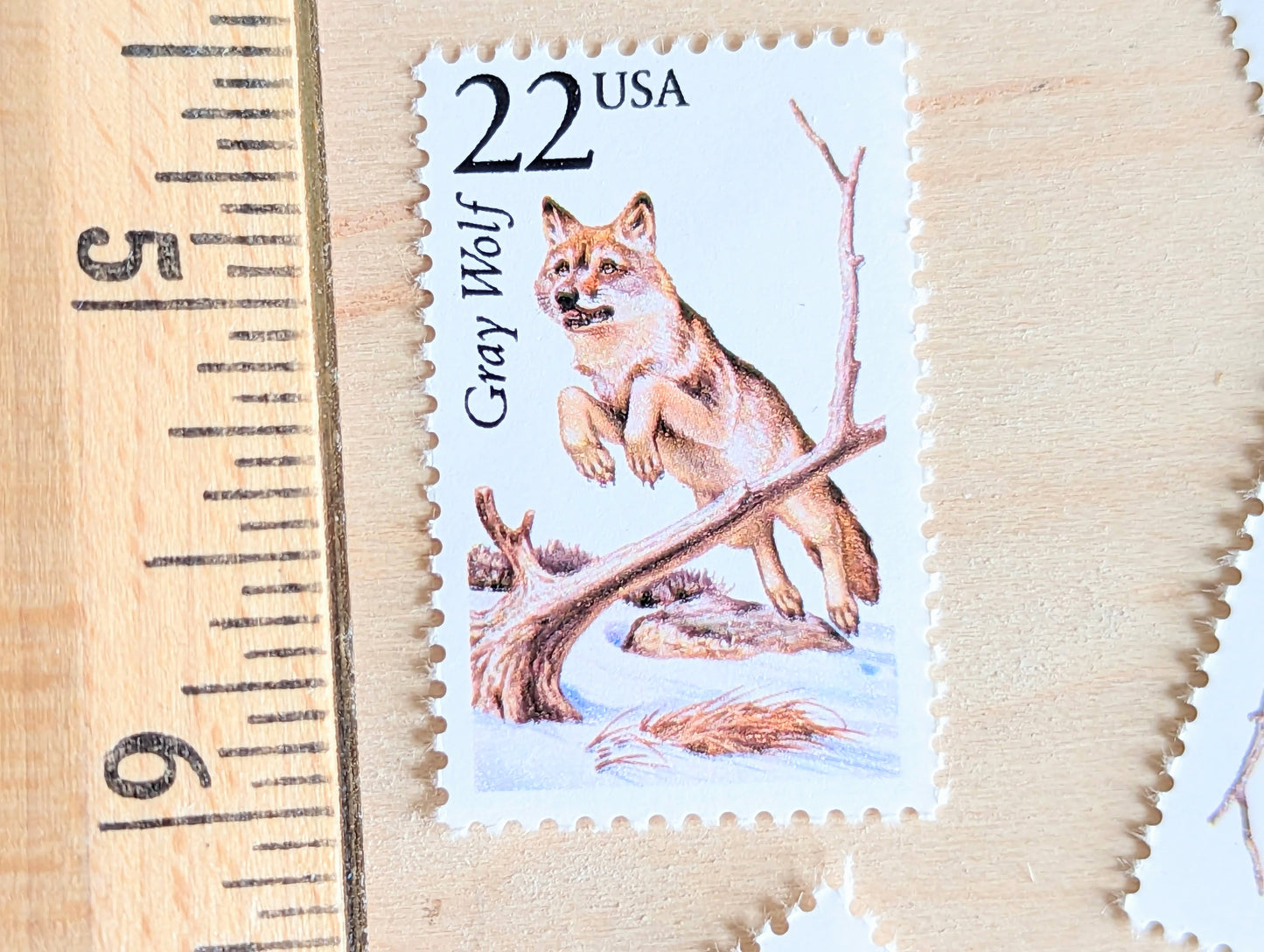 Gray Wolf, Set of 5, Vintage Unused USPS 22 Cent Postage Stamps, North American Wildlife Series 1987, Gummed