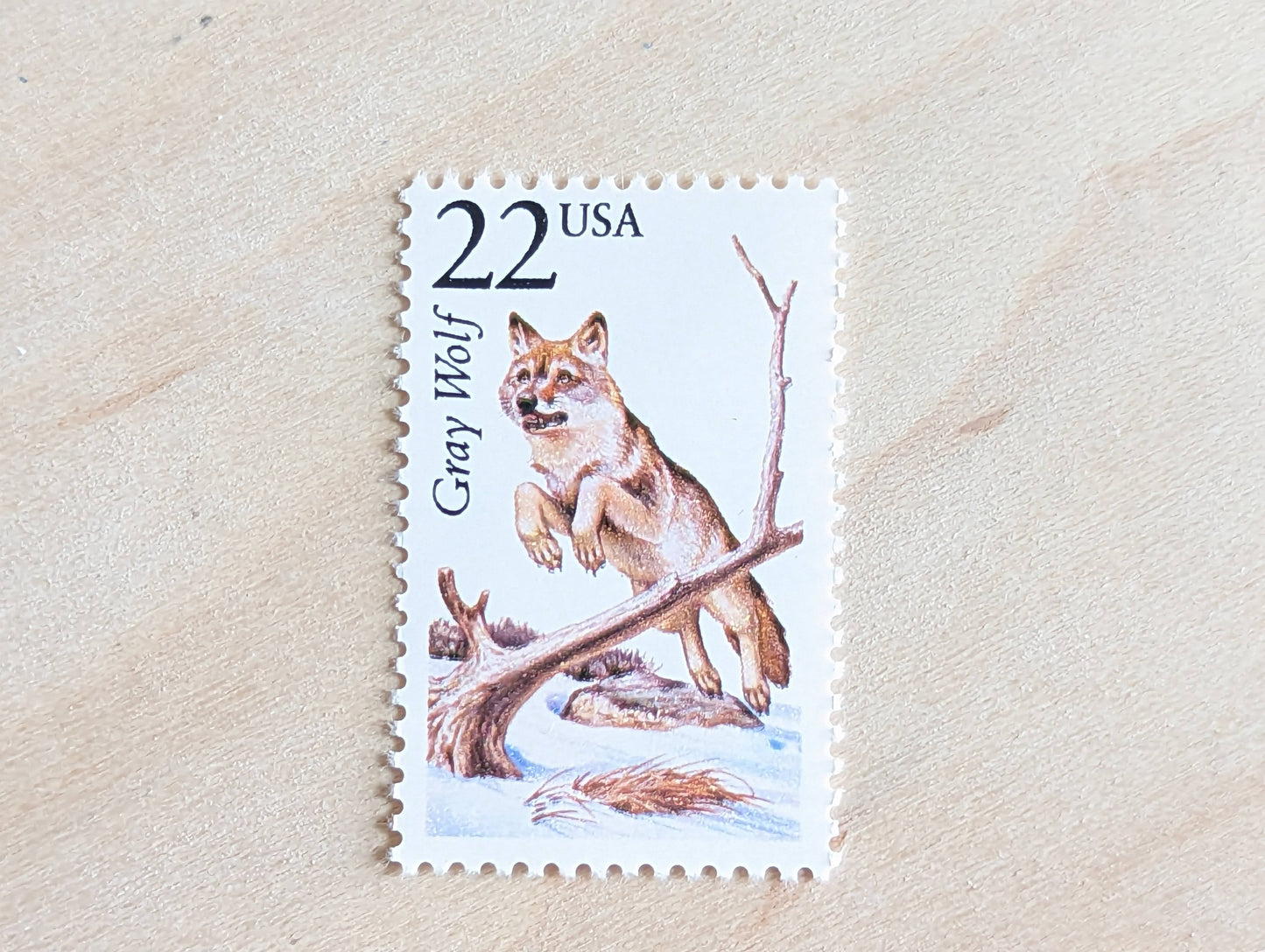 Gray Wolf, Set of 5, Vintage Unused USPS 22 Cent Postage Stamps, North American Wildlife Series 1987, Gummed