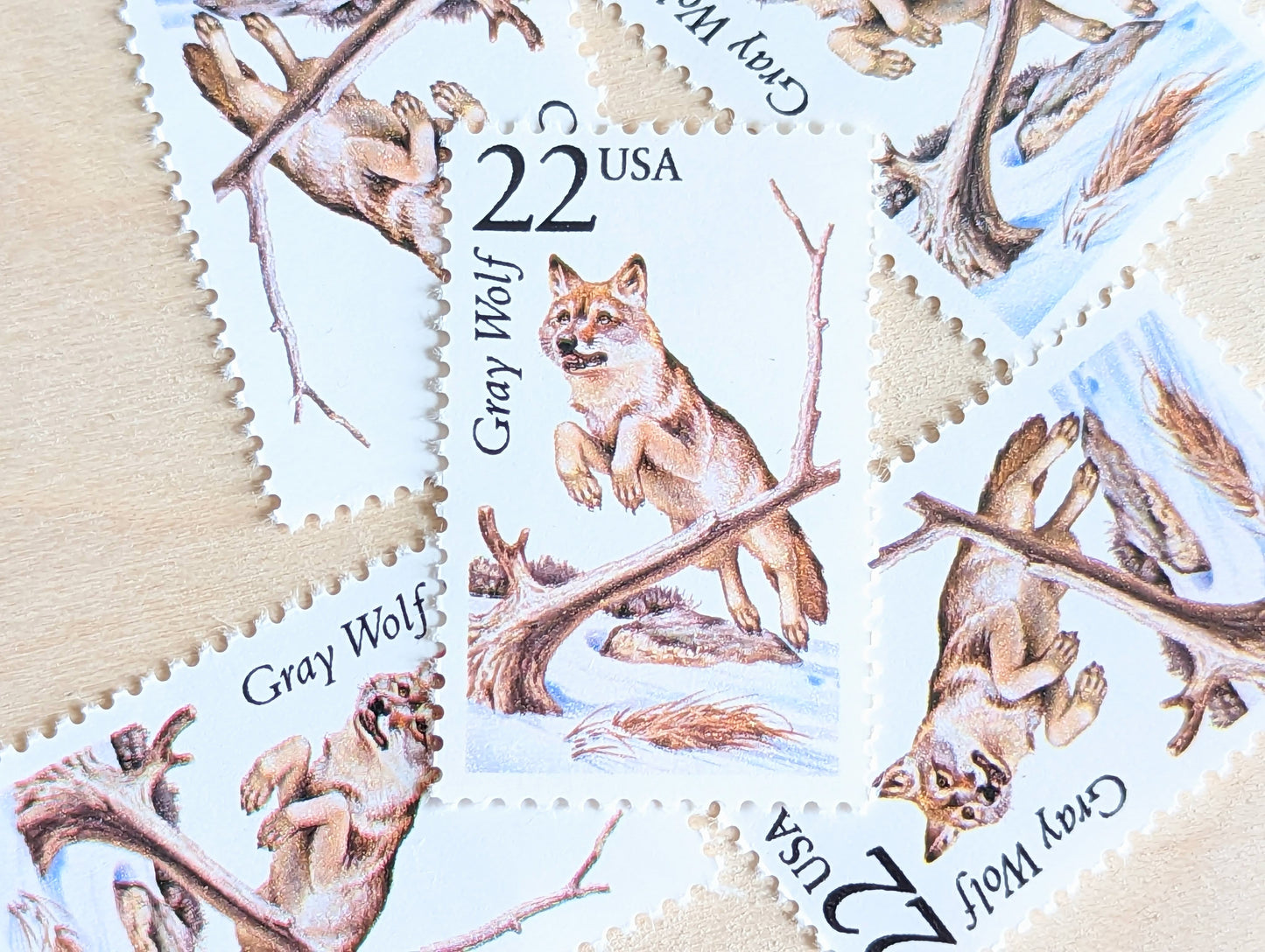 Gray Wolf, Set of 5, Vintage Unused USPS 22 Cent Postage Stamps, North American Wildlife Series 1987, Gummed