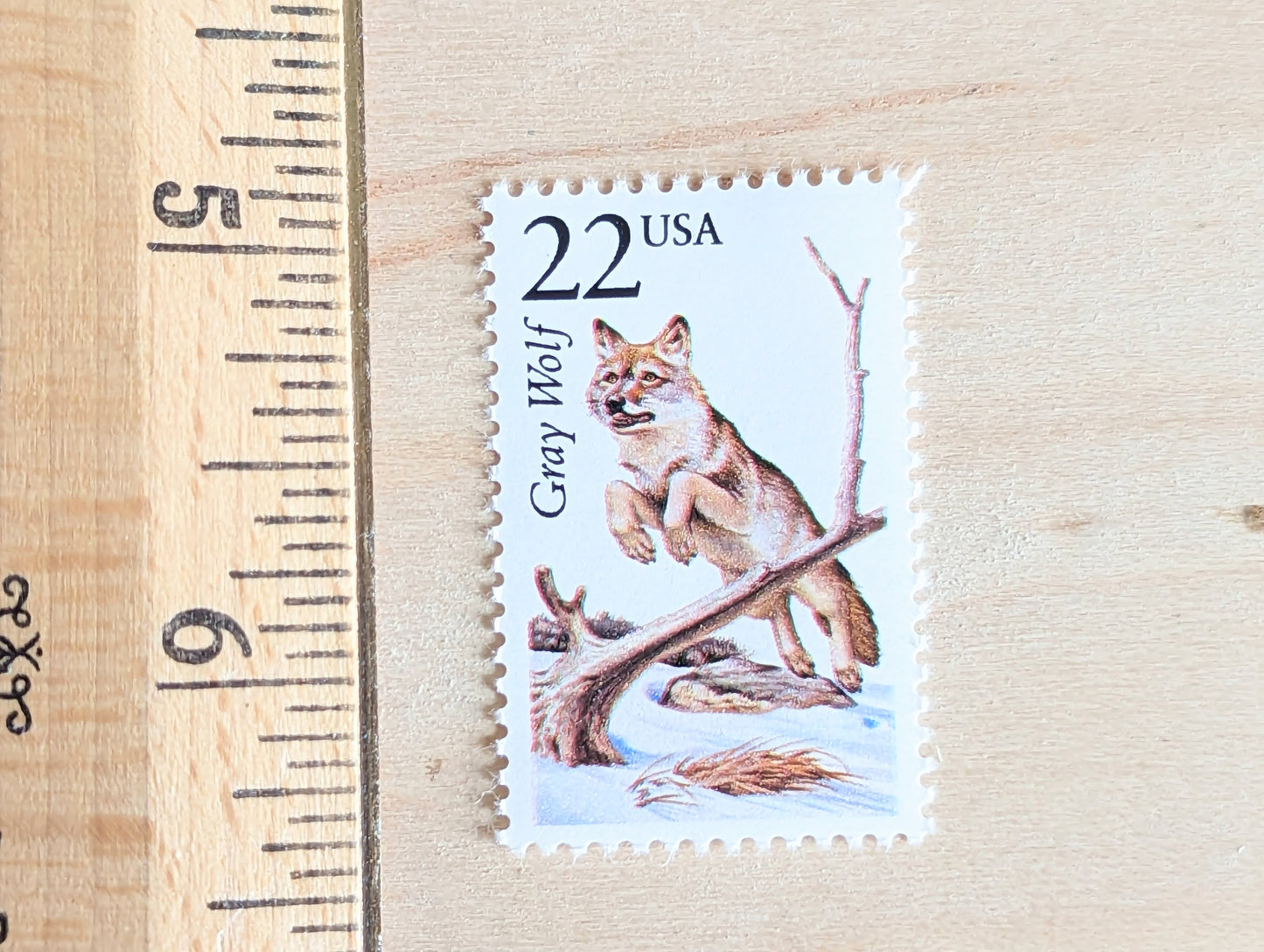 Gray Wolf, Set of 5, Vintage Unused USPS 22 Cent Postage Stamps, North American Wildlife Series 1987, Gummed