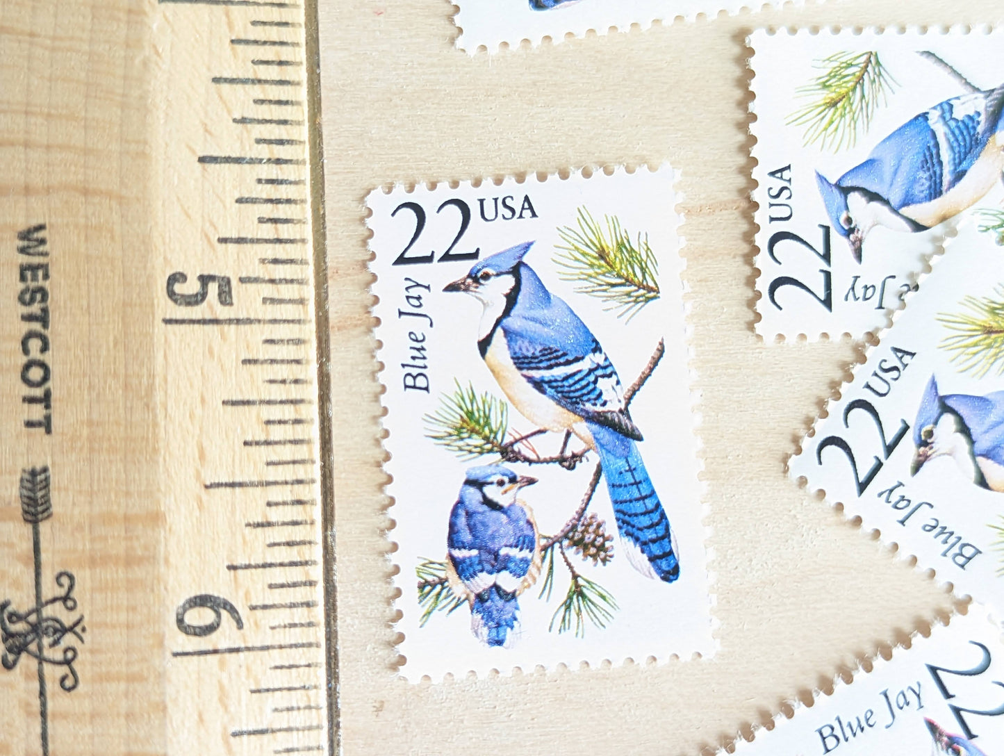 Blue Jay, Set of 5, Vintage Unused USPS 22 Cent Postage Stamps, North American Wildlife Series 1987, Gummed