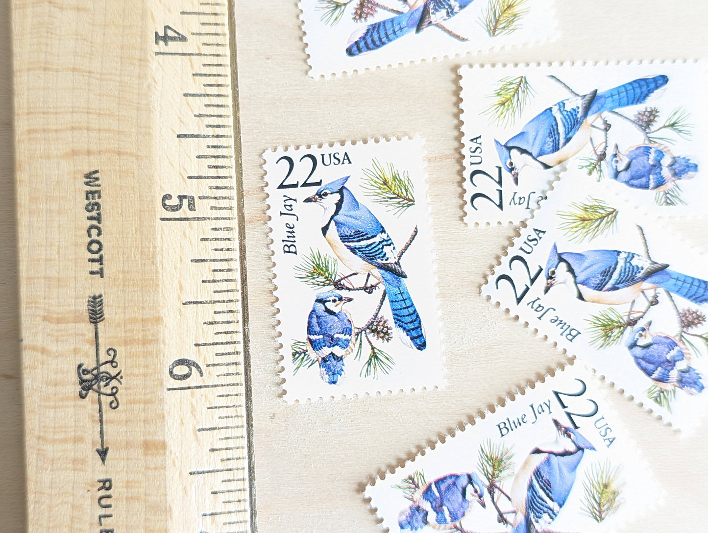 Blue Jay, Set of 5, Vintage Unused USPS 22 Cent Postage Stamps, North American Wildlife Series 1987, Gummed