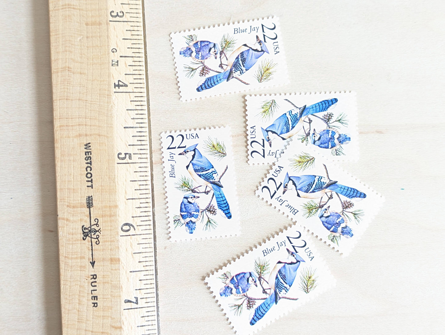 Blue Jay, Set of 5, Vintage Unused USPS 22 Cent Postage Stamps, North American Wildlife Series 1987, Gummed