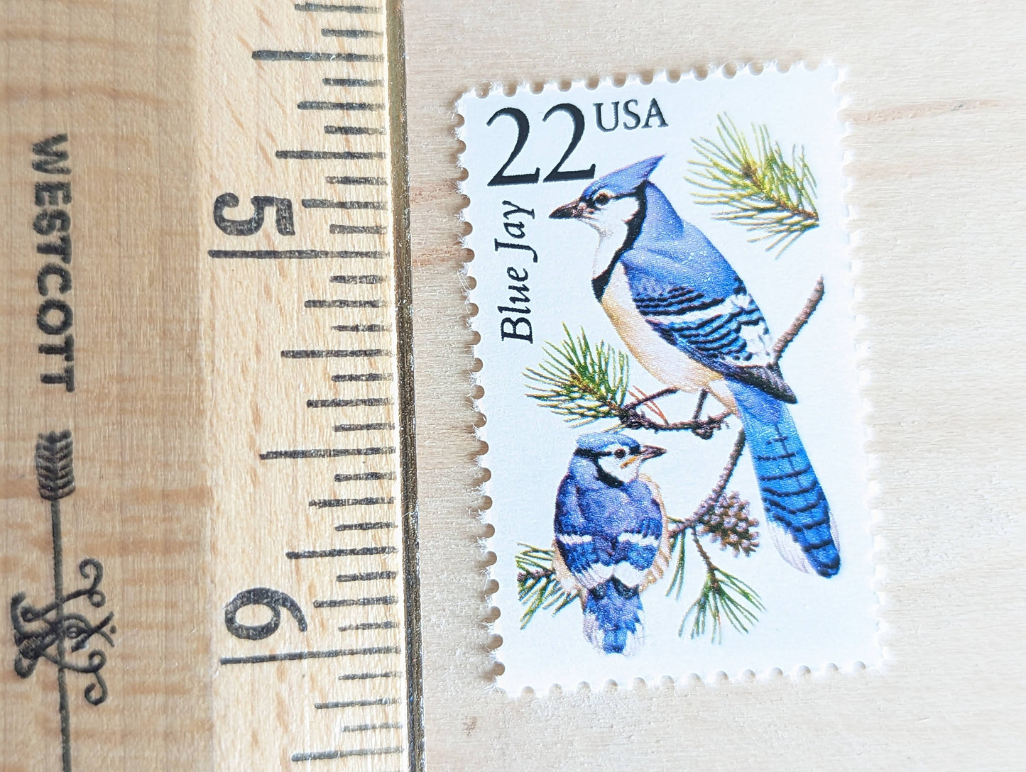 Blue Jay, Set of 5, Vintage Unused USPS 22 Cent Postage Stamps, North American Wildlife Series 1987, Gummed