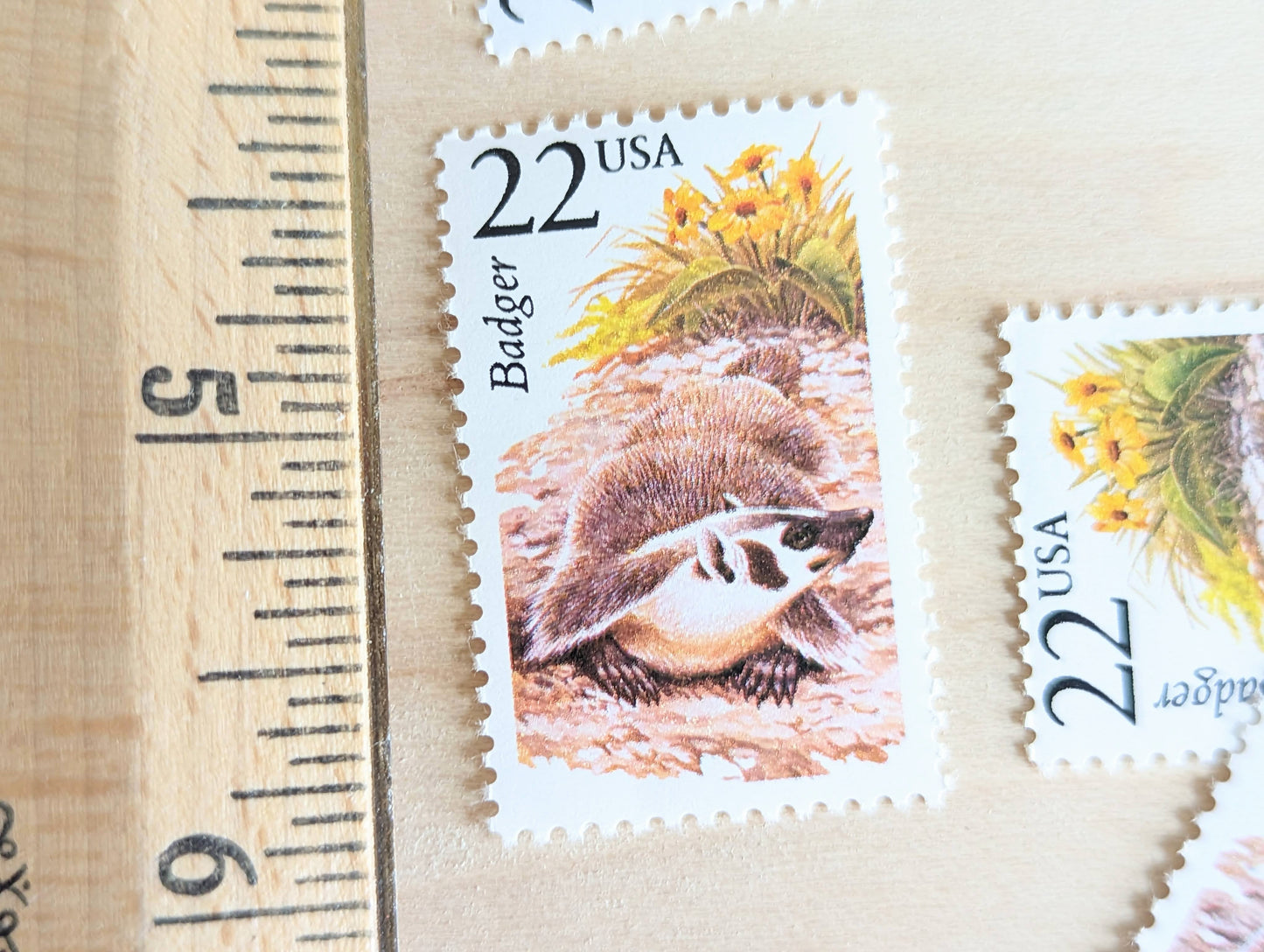 Badger, Set of 5, Vintage Unused USPS 22 Cent Postage Stamps, North American Wildlife Series 1987, Gummed