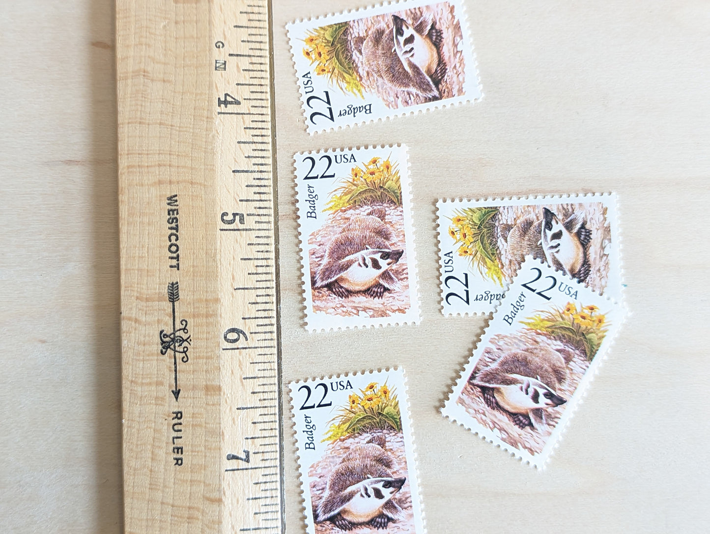 Badger, Set of 5, Vintage Unused USPS 22 Cent Postage Stamps, North American Wildlife Series 1987, Gummed