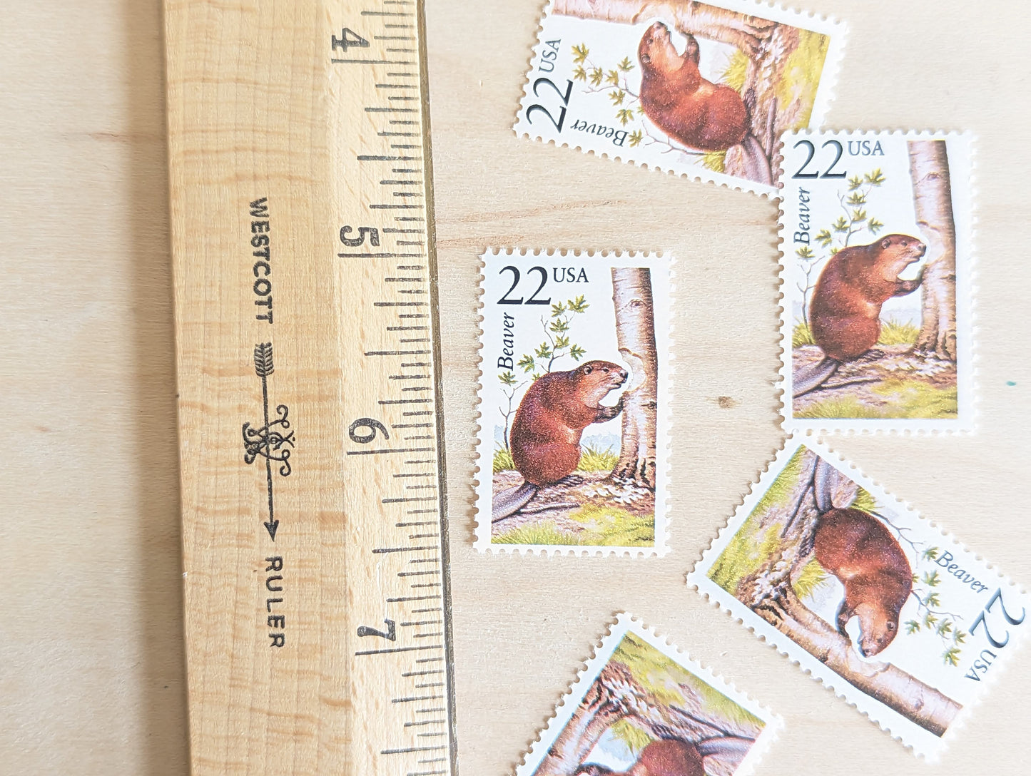 Beaver, Set of 5, Vintage Unused USPS 22 Cent Postage Stamps, North American Wildlife Series 1987, Gummed