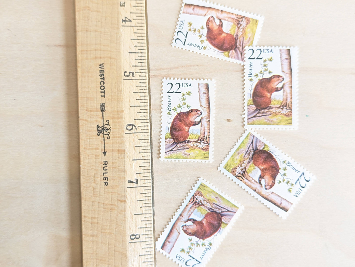Beaver, Set of 5, Vintage Unused USPS 22 Cent Postage Stamps, North American Wildlife Series 1987, Gummed