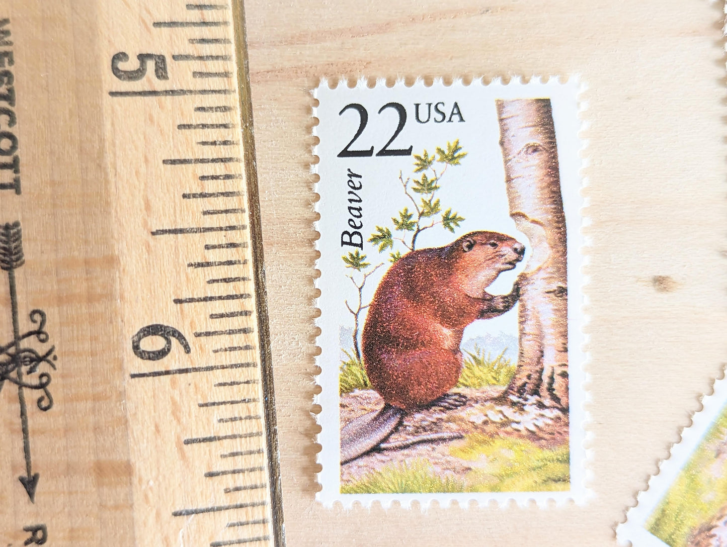Beaver, Set of 5, Vintage Unused USPS 22 Cent Postage Stamps, North American Wildlife Series 1987, Gummed
