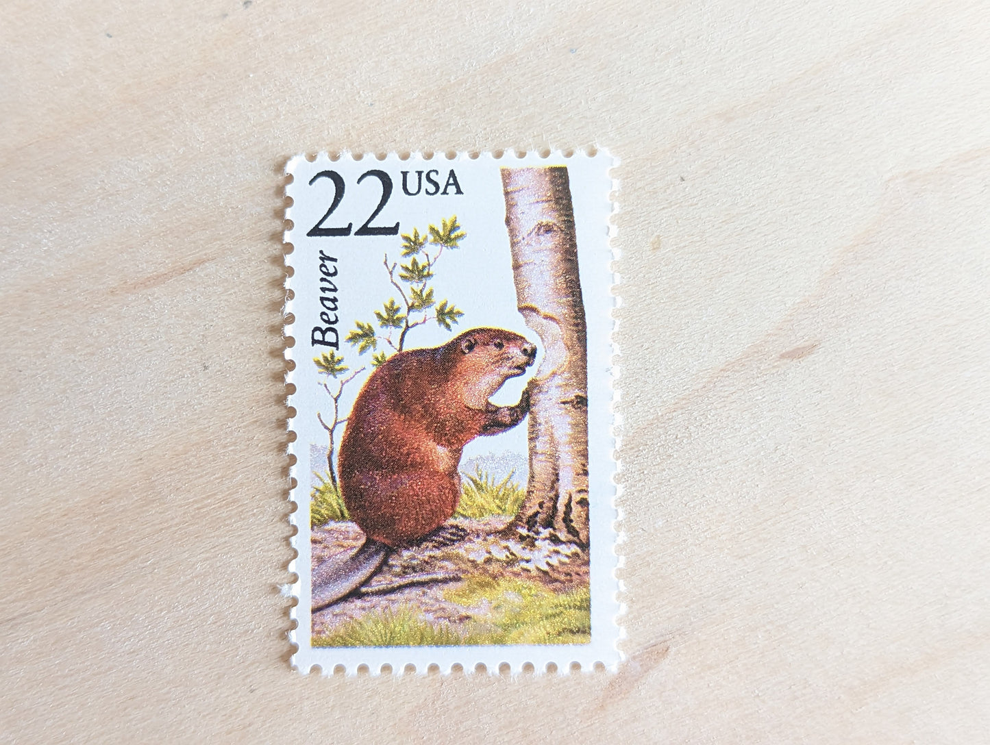 Beaver, Set of 5, Vintage Unused USPS 22 Cent Postage Stamps, North American Wildlife Series 1987, Gummed