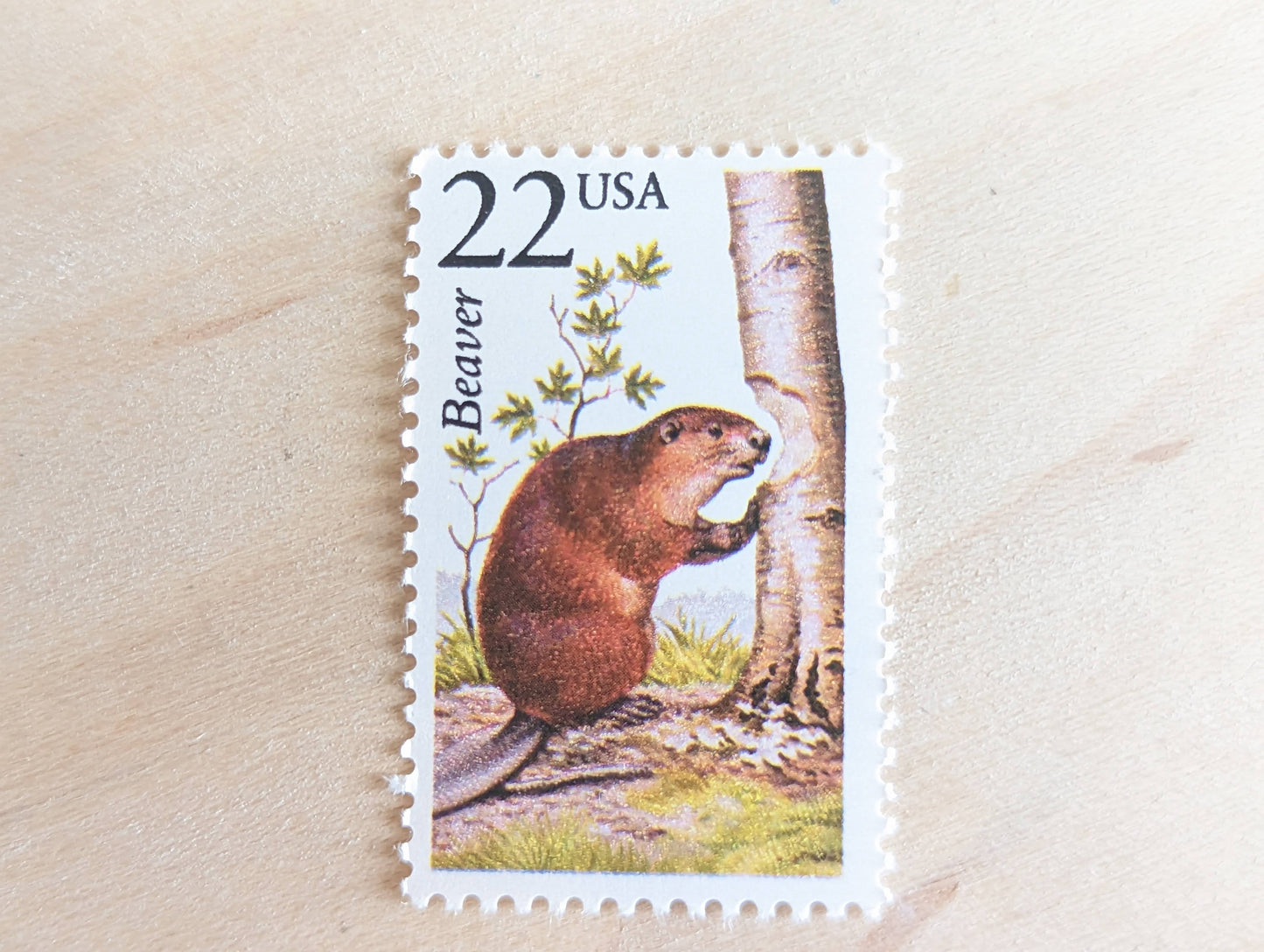 Beaver, Set of 5, Vintage Unused USPS 22 Cent Postage Stamps, North American Wildlife Series 1987, Gummed