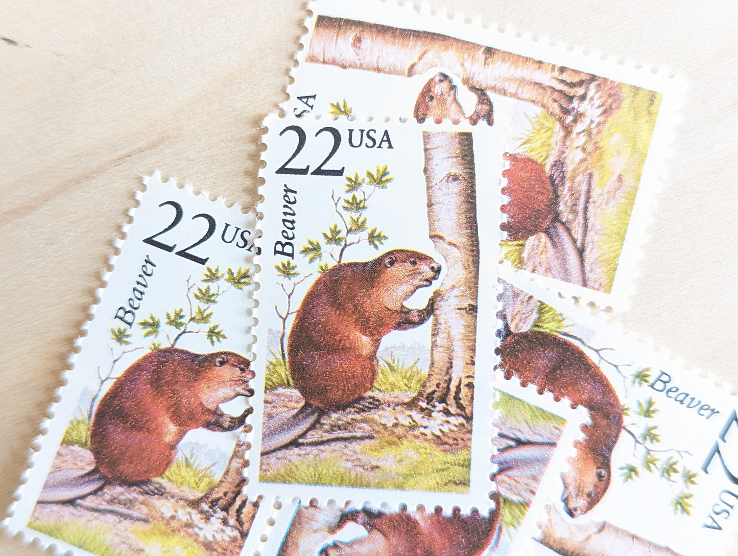 Beaver, Set of 5, Vintage Unused USPS 22 Cent Postage Stamps, North American Wildlife Series 1987, Gummed