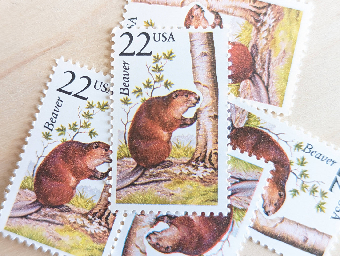 Beaver, Set of 5, Vintage Unused USPS 22 Cent Postage Stamps, North American Wildlife Series 1987, Gummed