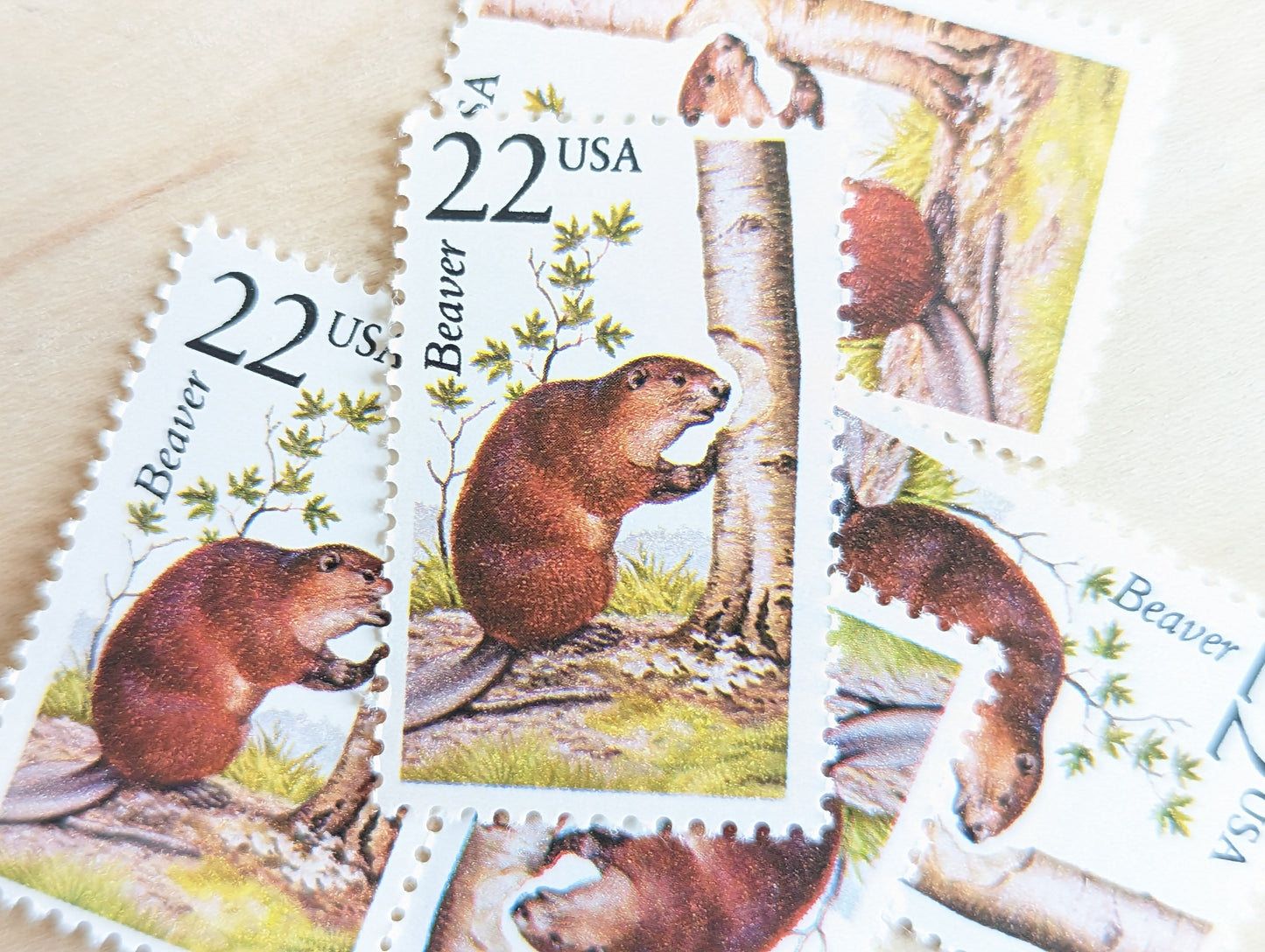 Beaver, Set of 5, Vintage Unused USPS 22 Cent Postage Stamps, North American Wildlife Series 1987, Gummed