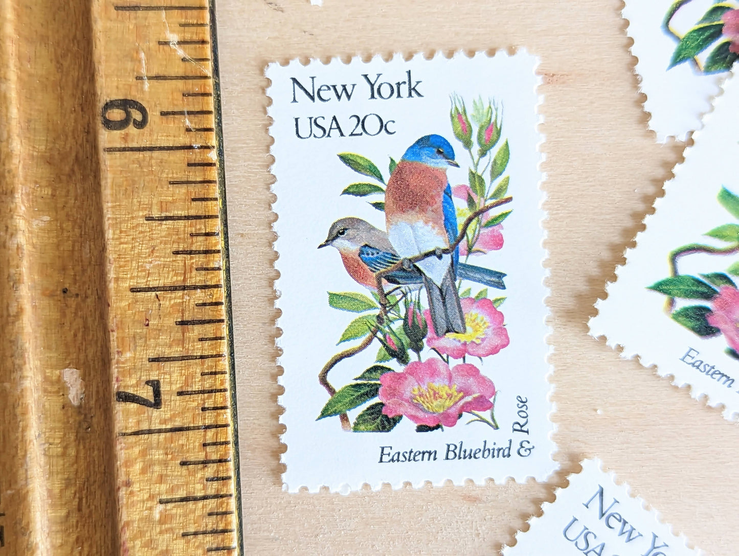 New York State Stamp, Set of 5, Vintage Unused USPS 20 Cent Postage Stamps, State Bird and Flower, 1982, Gummed